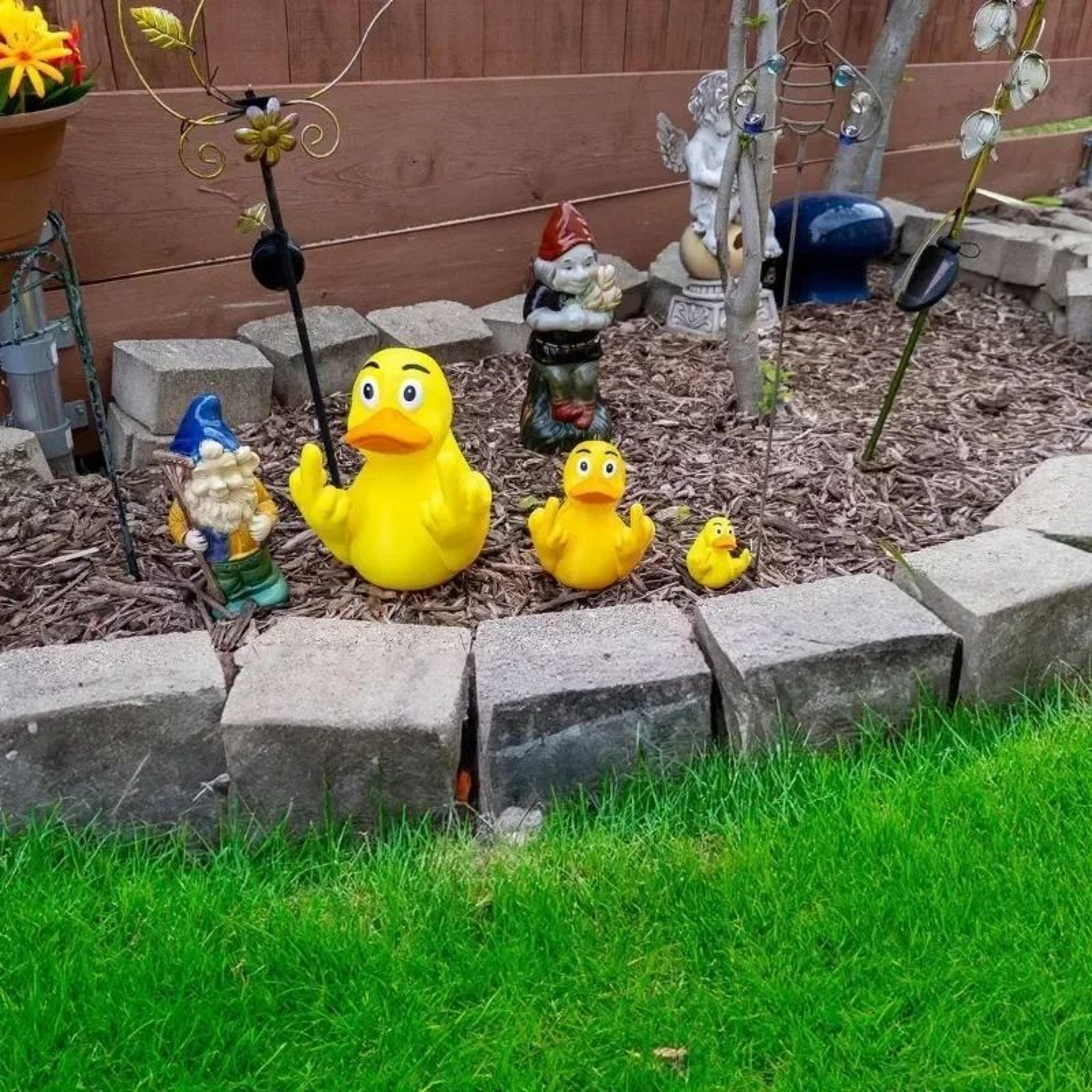 Funny Middle Finger Duck Statue 4