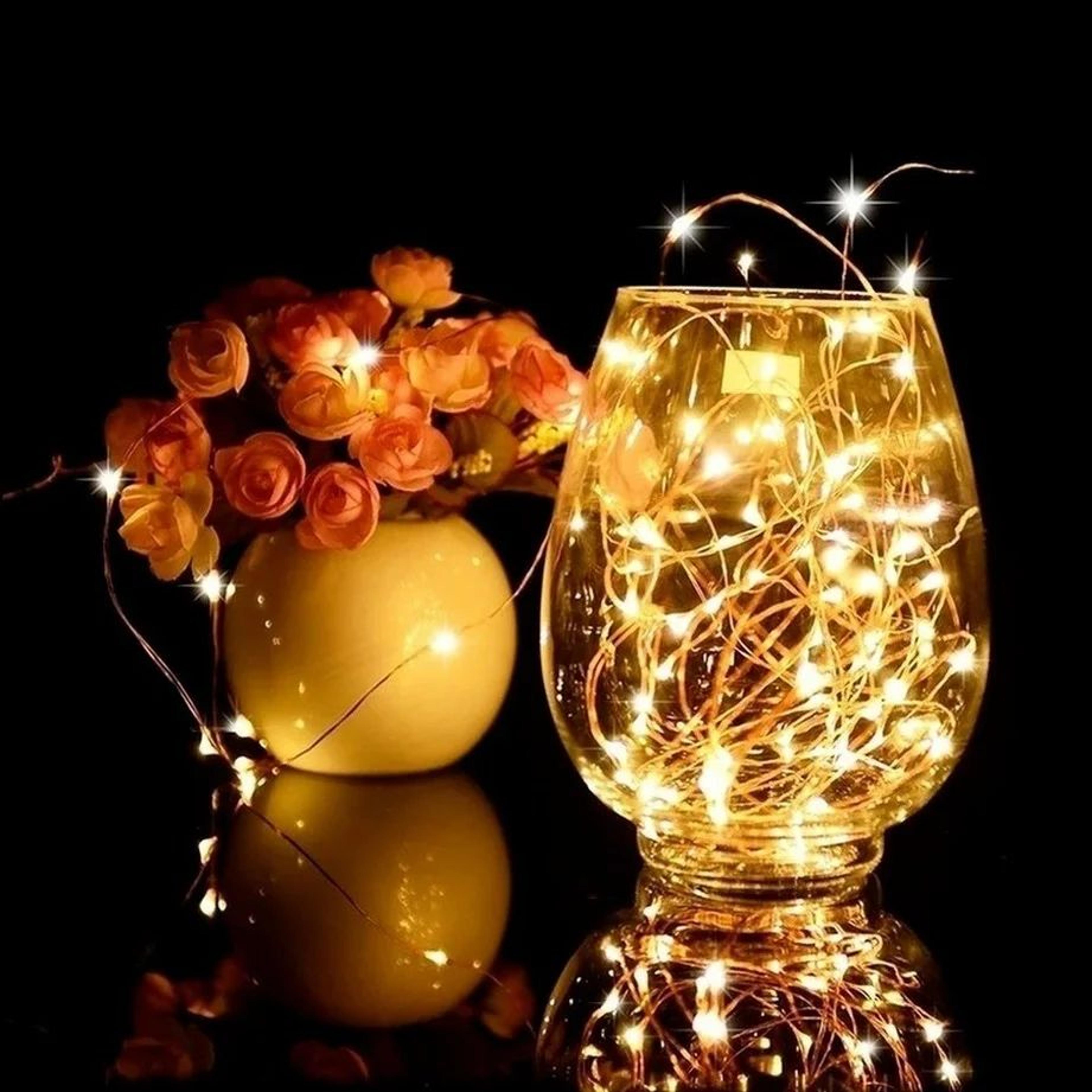 Copper Wire LED Fairy String Lights 3