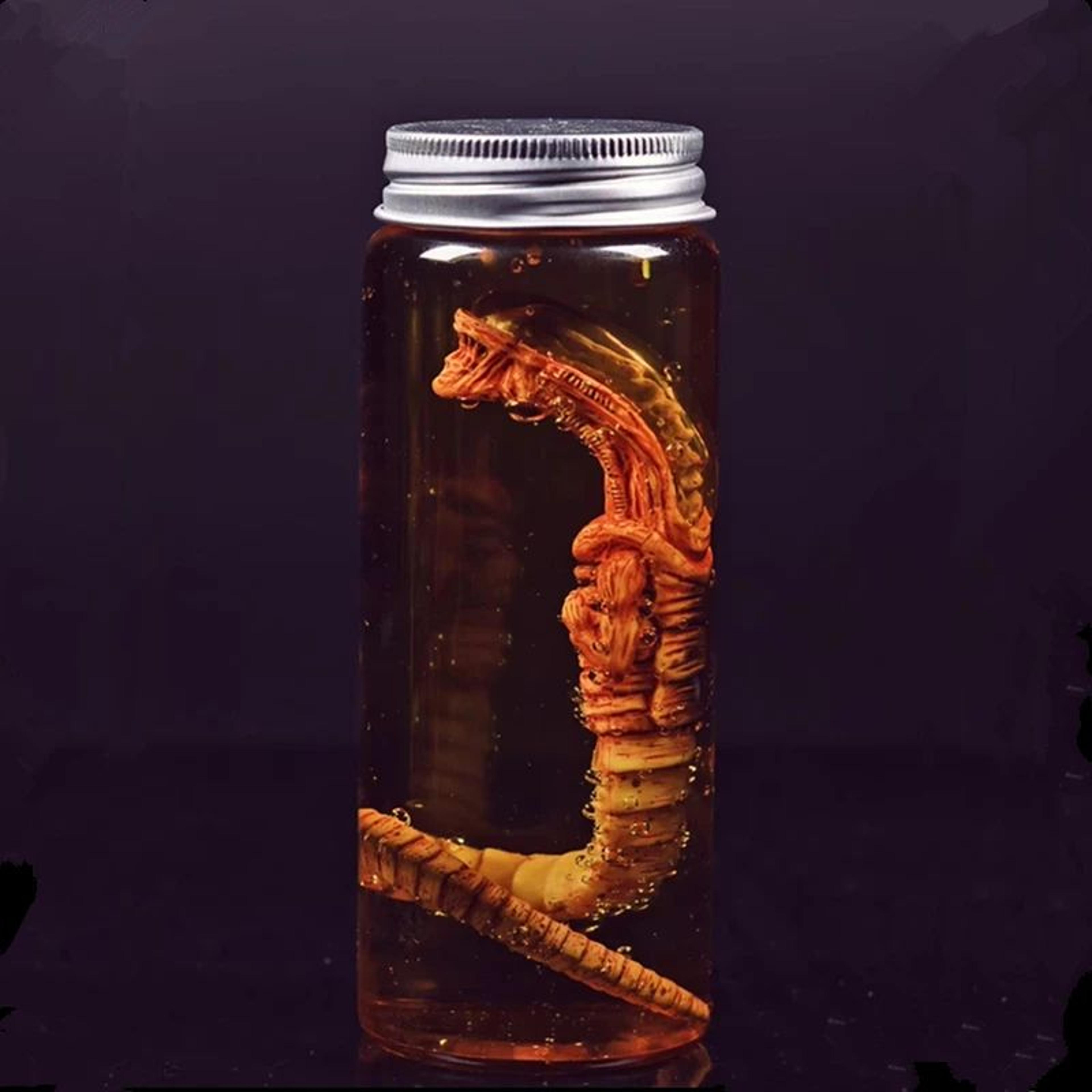 Alien Specimen Jar Sci Fi Display Prop 3