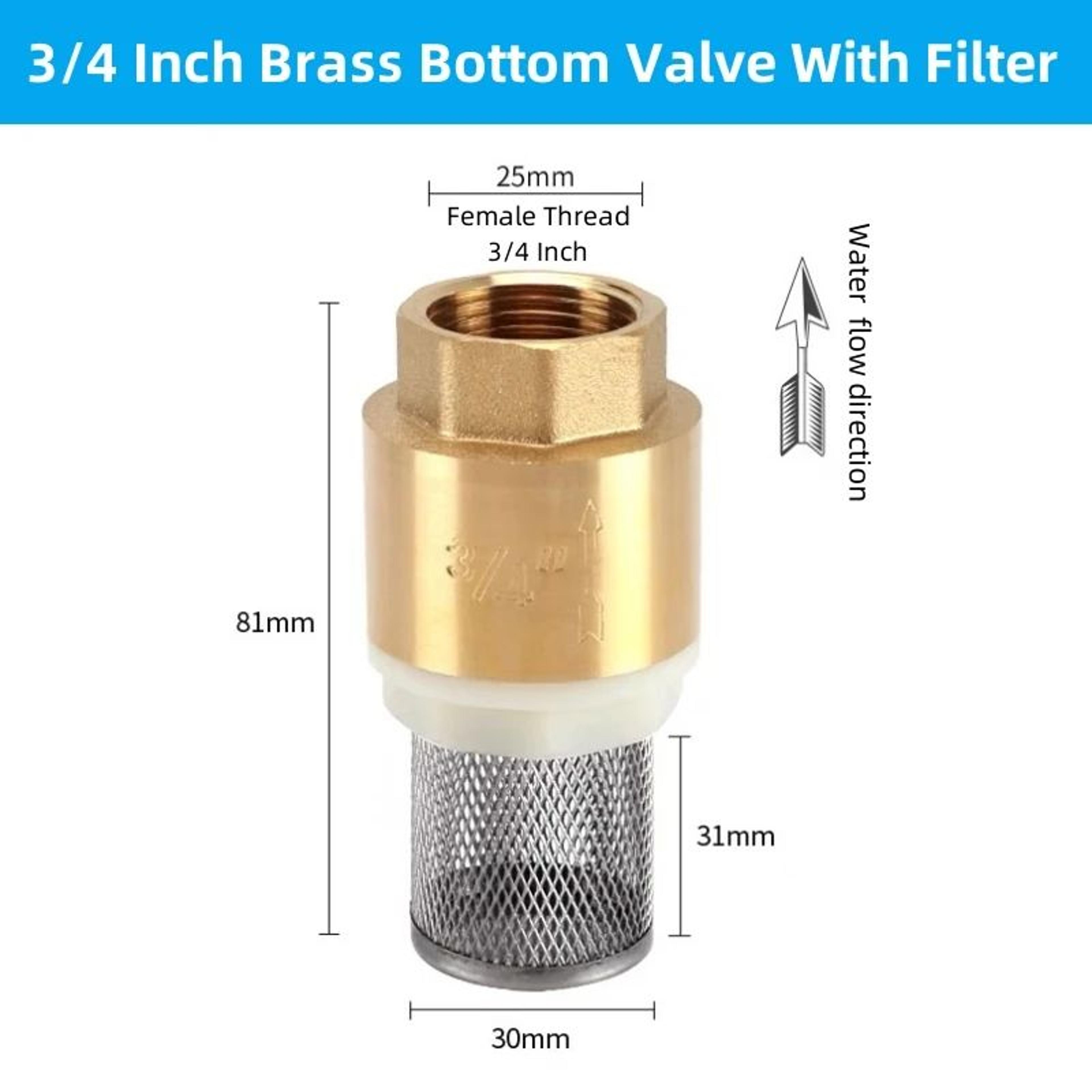 Brass Foot Valve With Suction Strainer 20