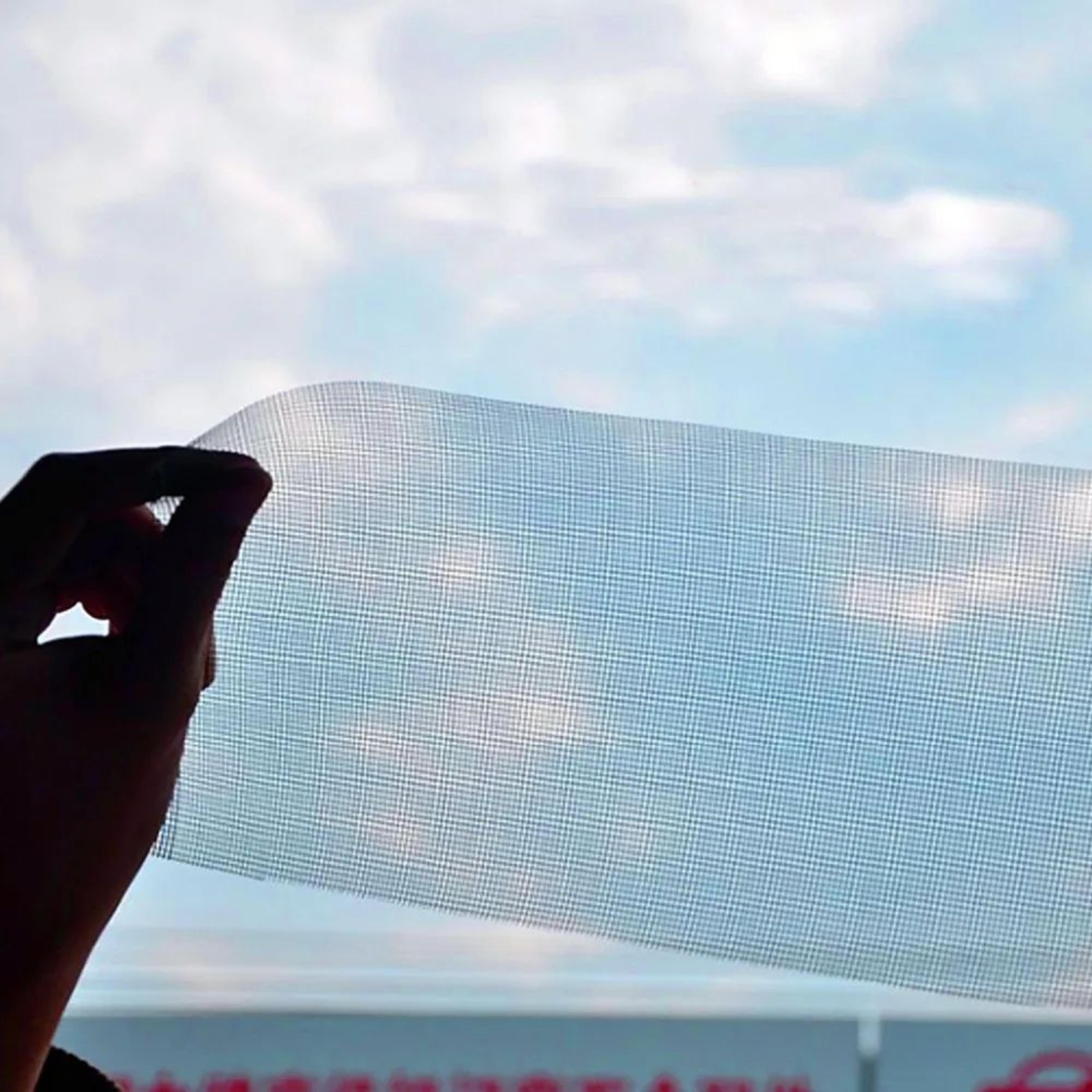 Magnetic Mosquito Window Screen Removable Insect Mesh 5