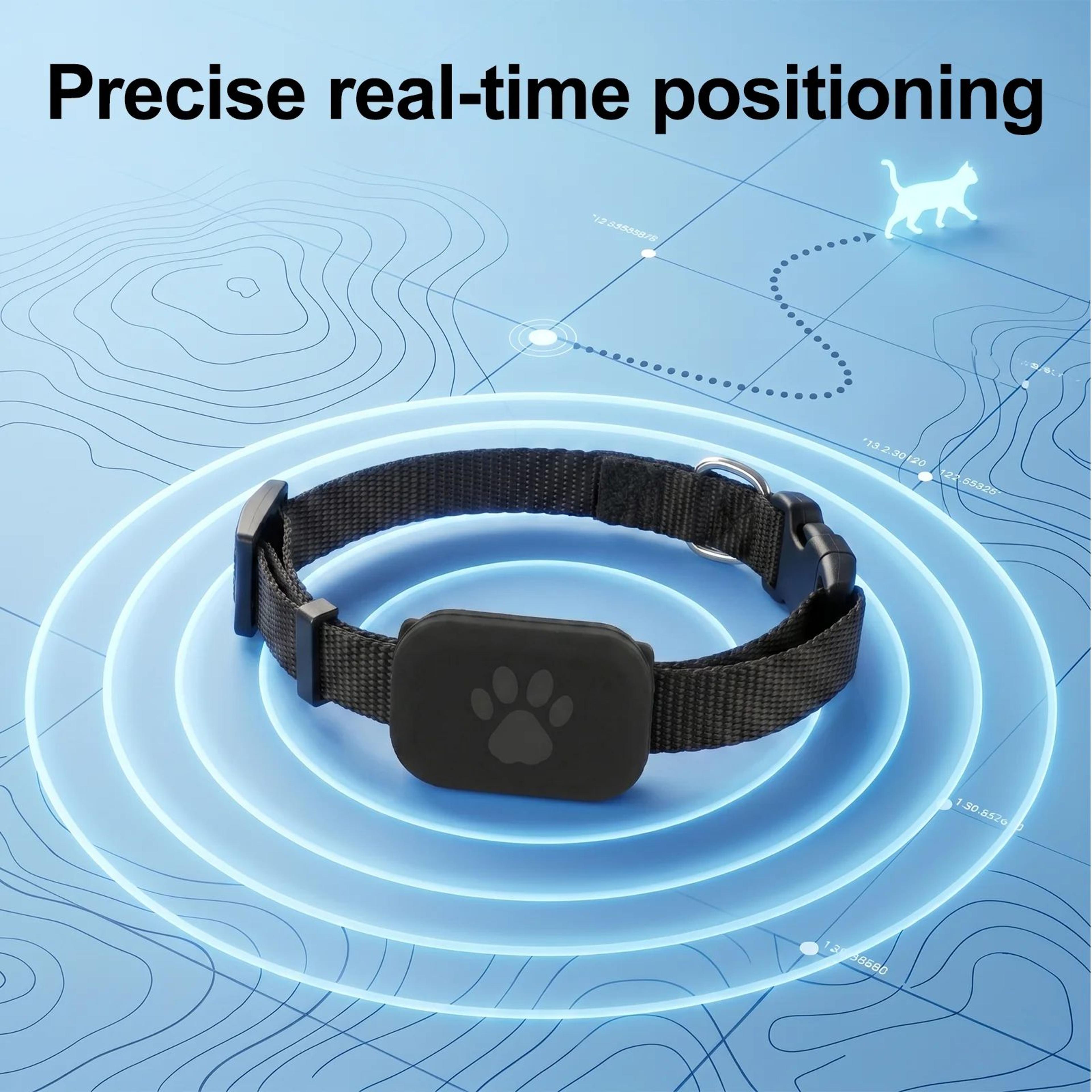 Apple Find My Pet Tracker 1