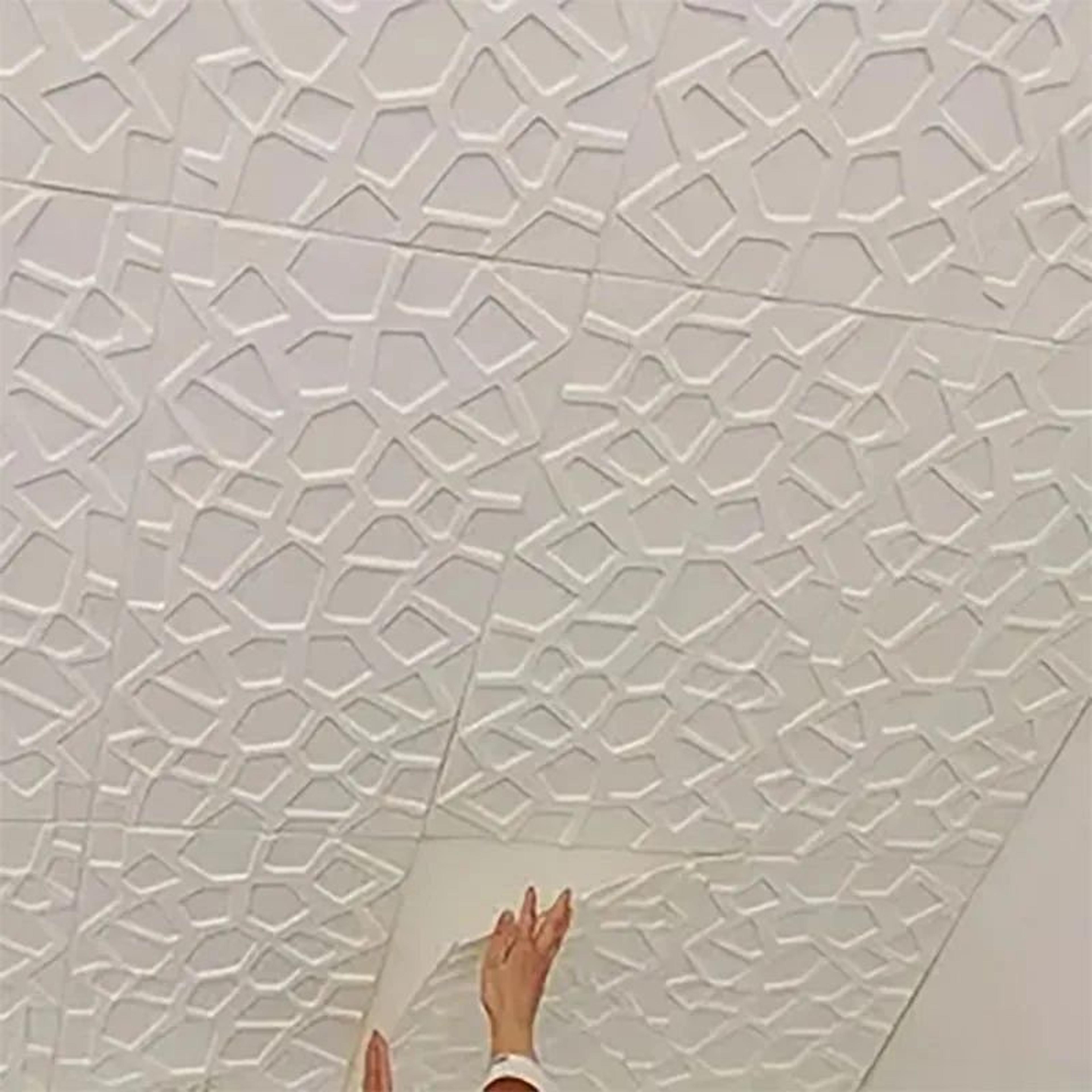Dimora 3D Peel And Stick Ceiling Wall Panels 3