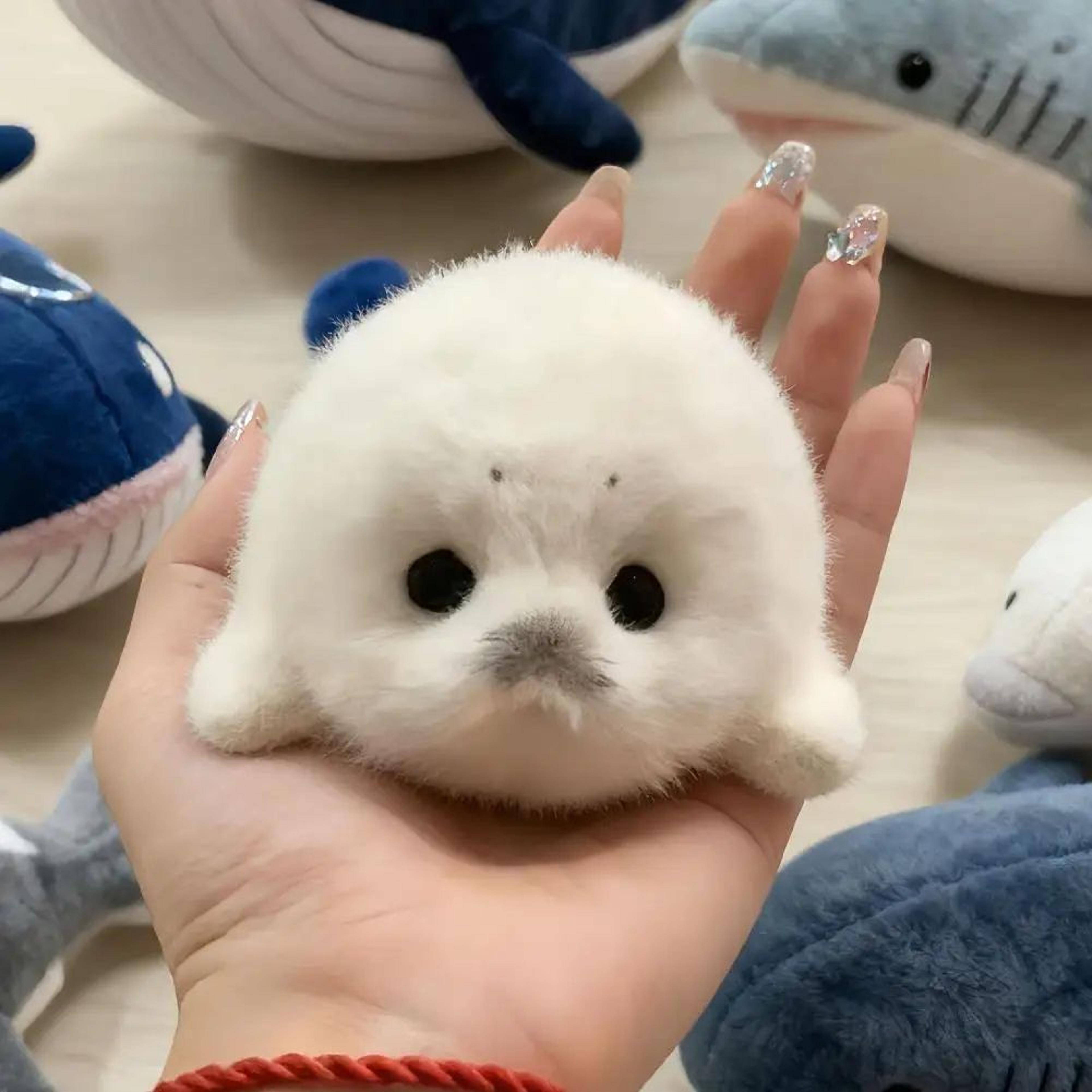 Cute Plush Seal Keychain Pendant 1