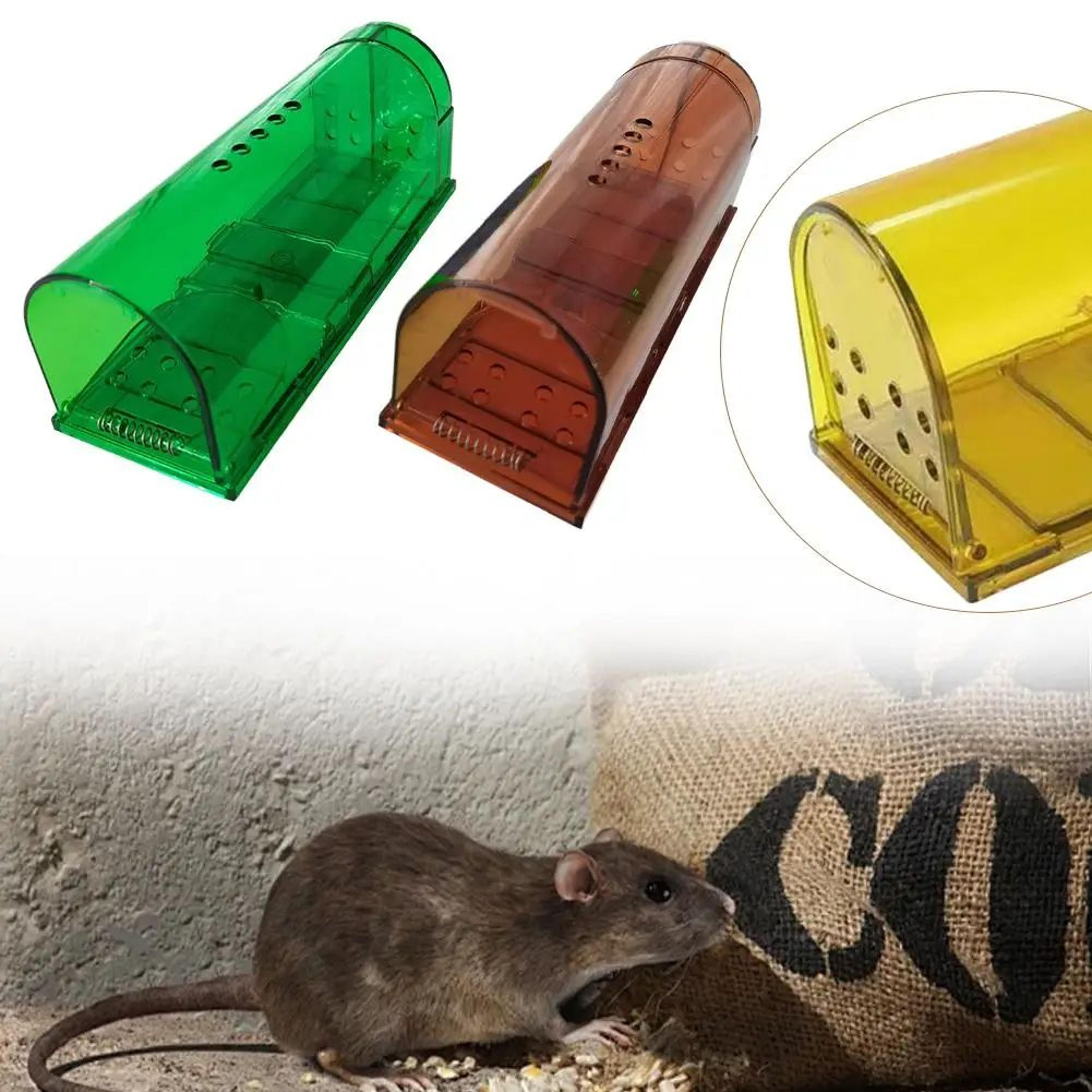 transparent self locking mouse catcher