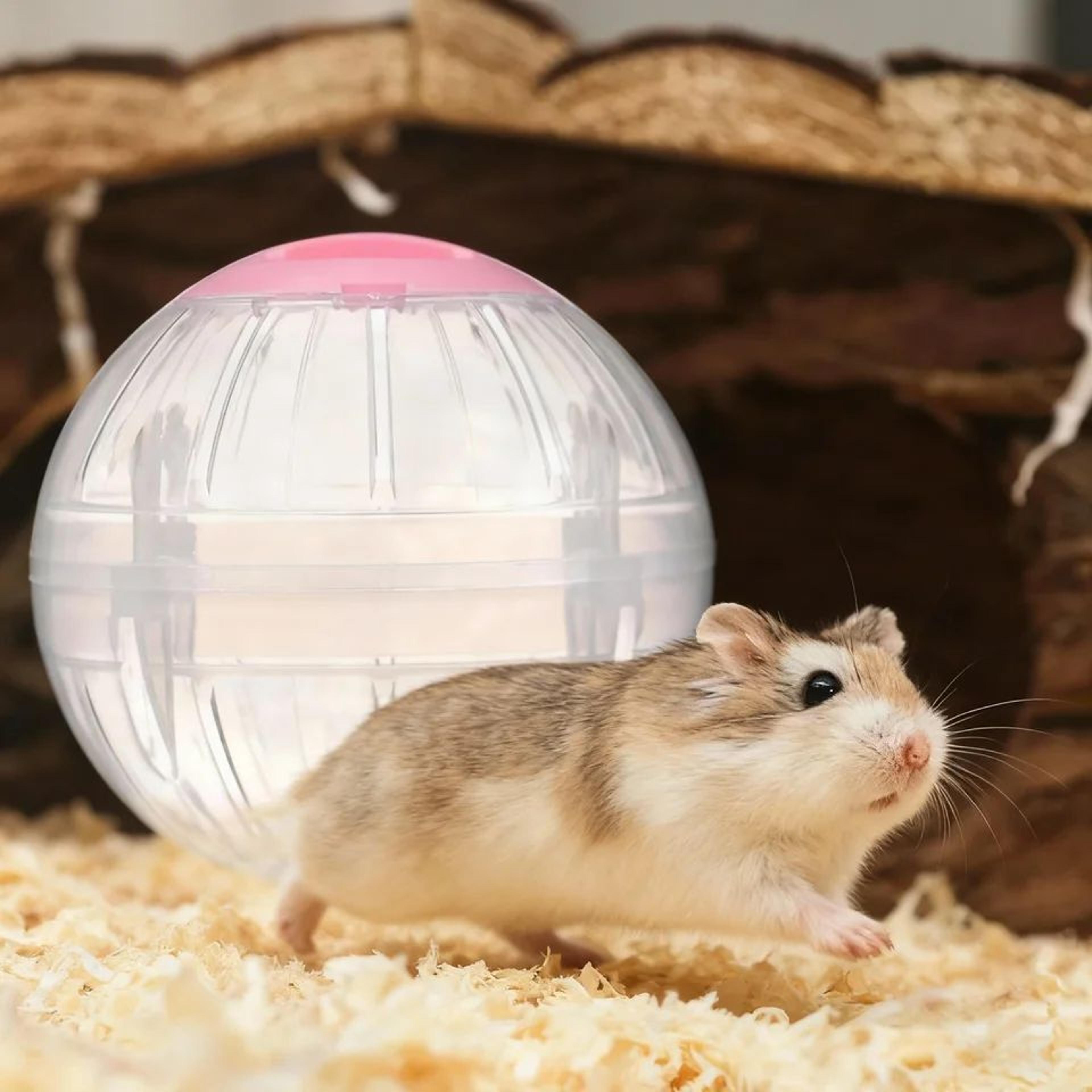 small pet hamster exercise ball