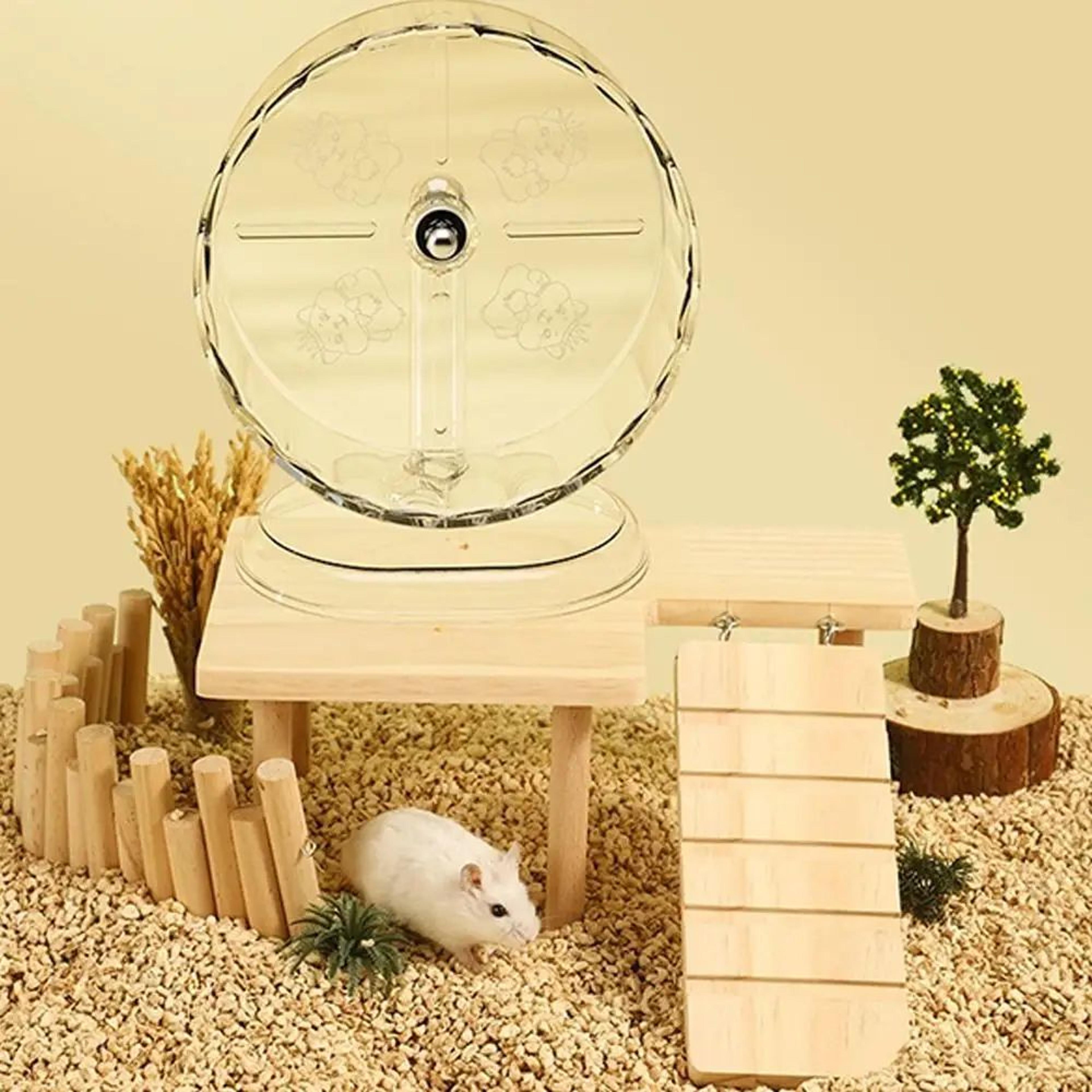 Transparent Silent Hamster Running Wheel 5
