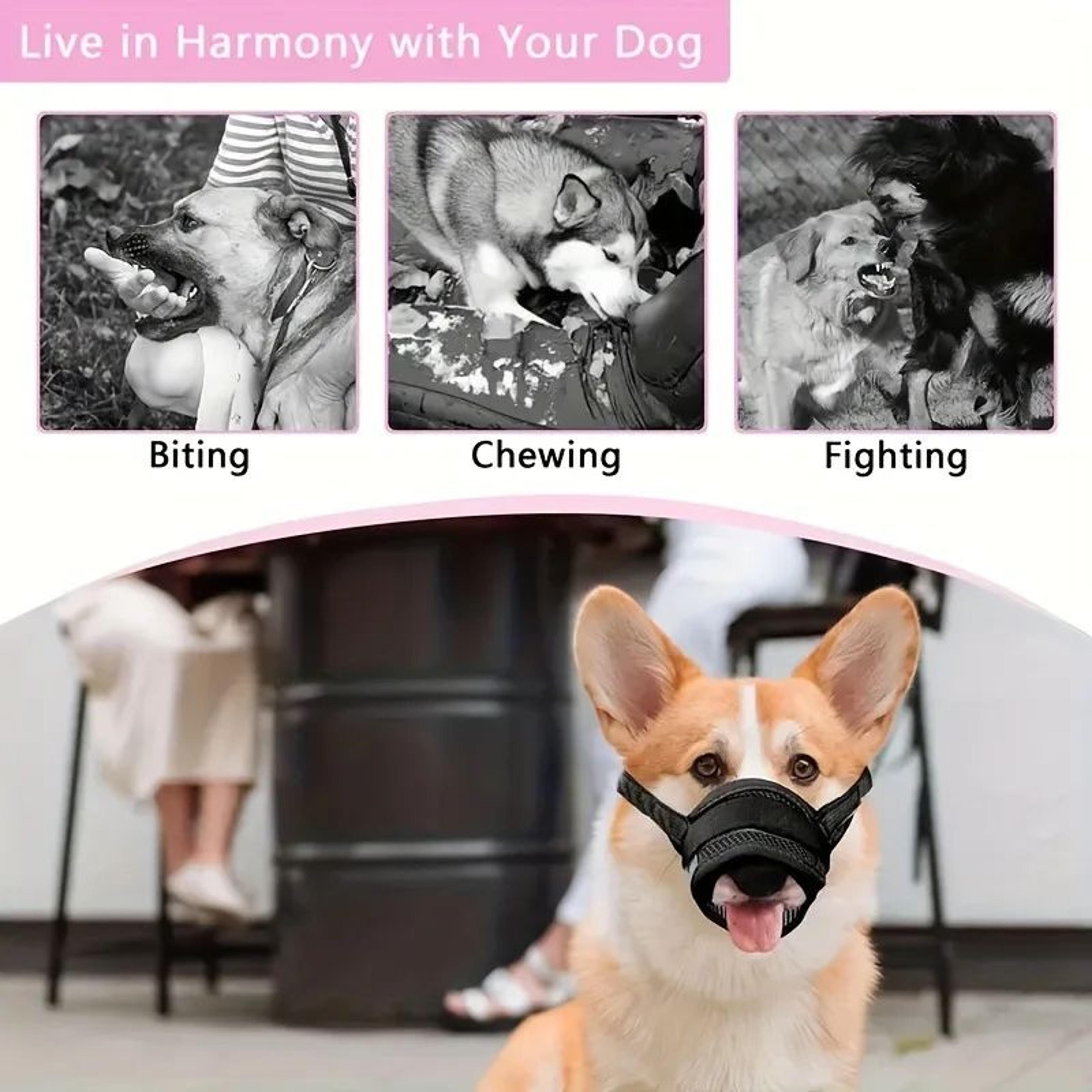 Breathable Adjustable Soft Dog Muzzle 4