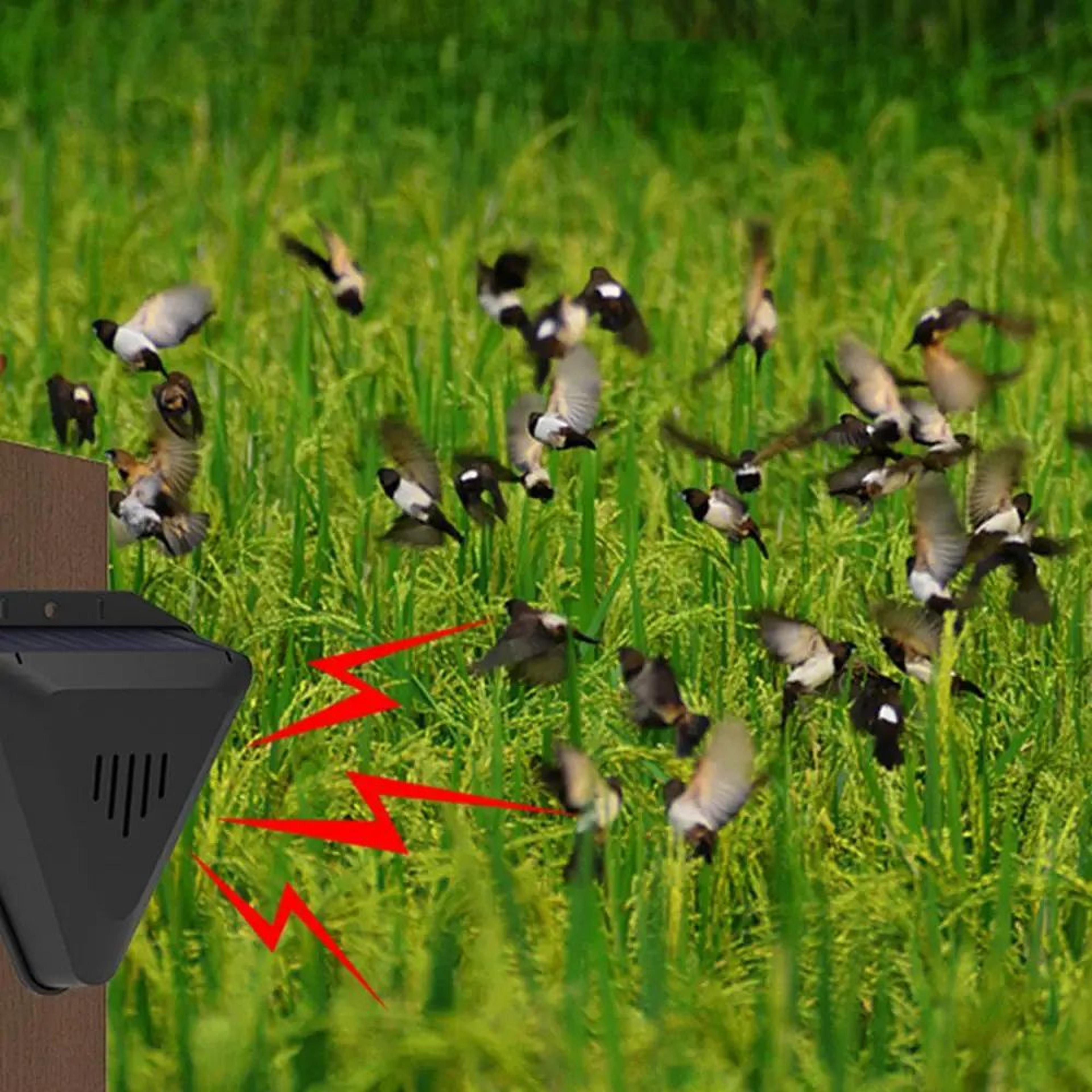Solar Sound Bird Deterrent With Timer 0