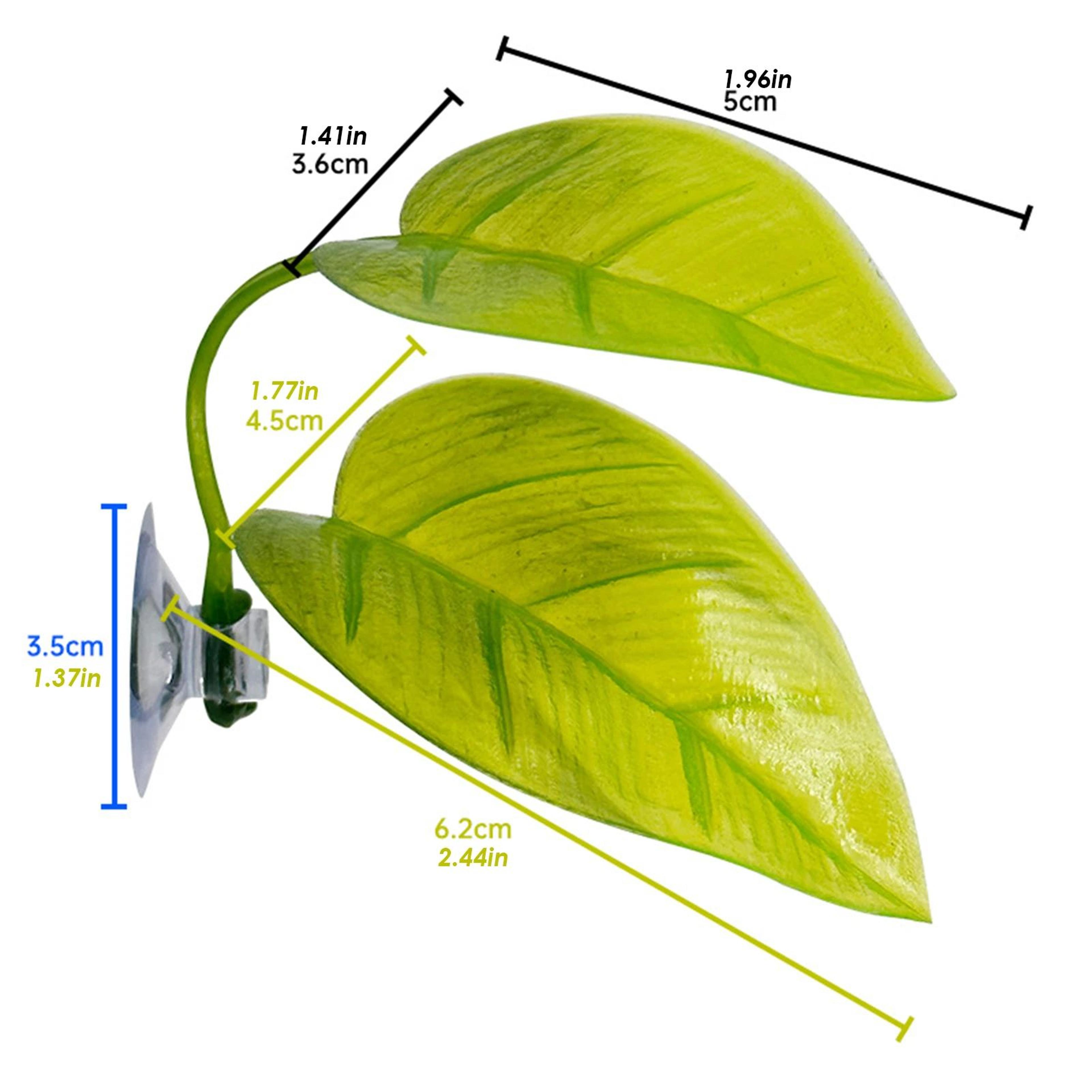 Suction Cup Reptile Leaf Resting Platform 9
