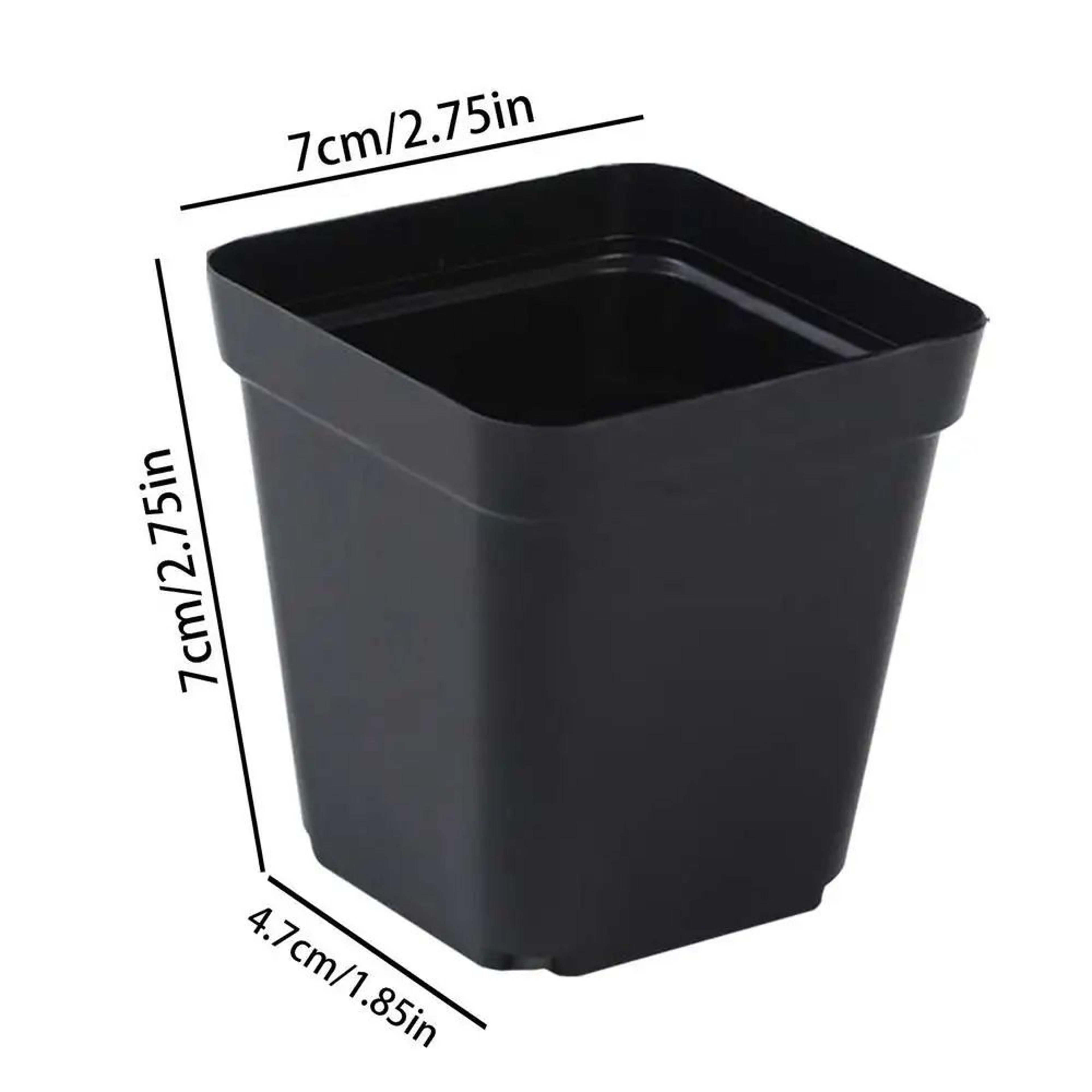 50 Piece Deep Square Seedling Pots 6