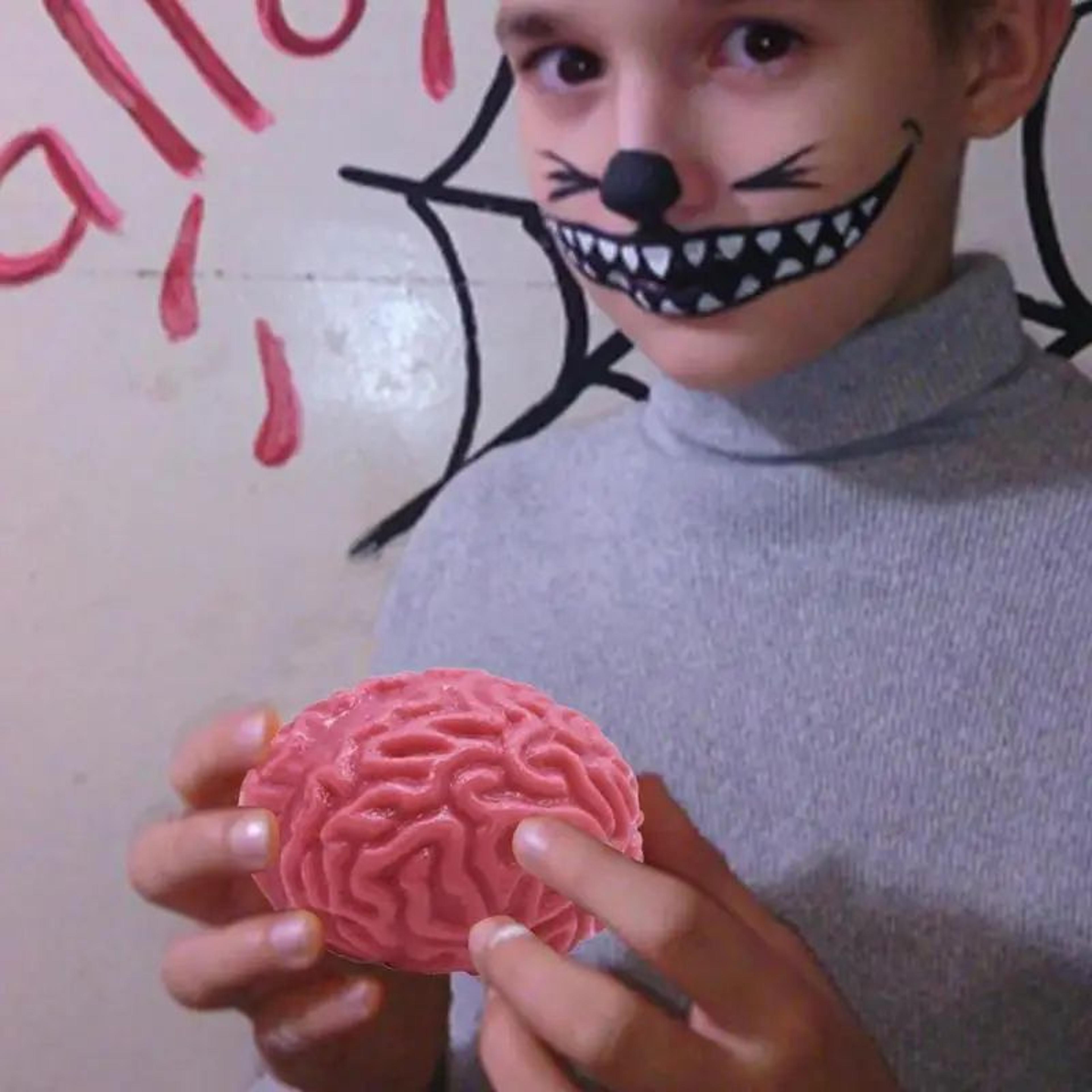 Brain Shape Rebound Squeeze Ball 4