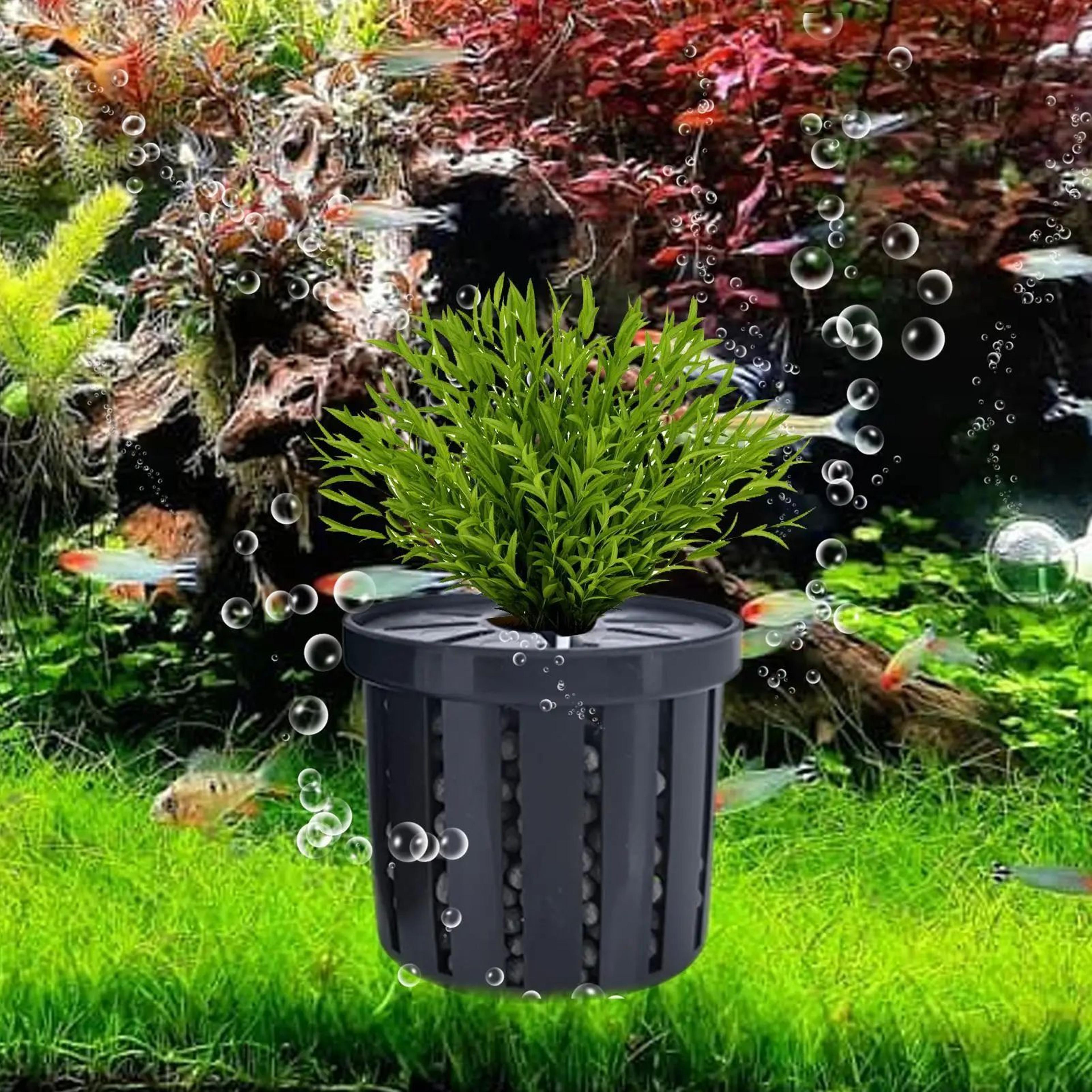 4 piece aquarium hydroponic plant baskets