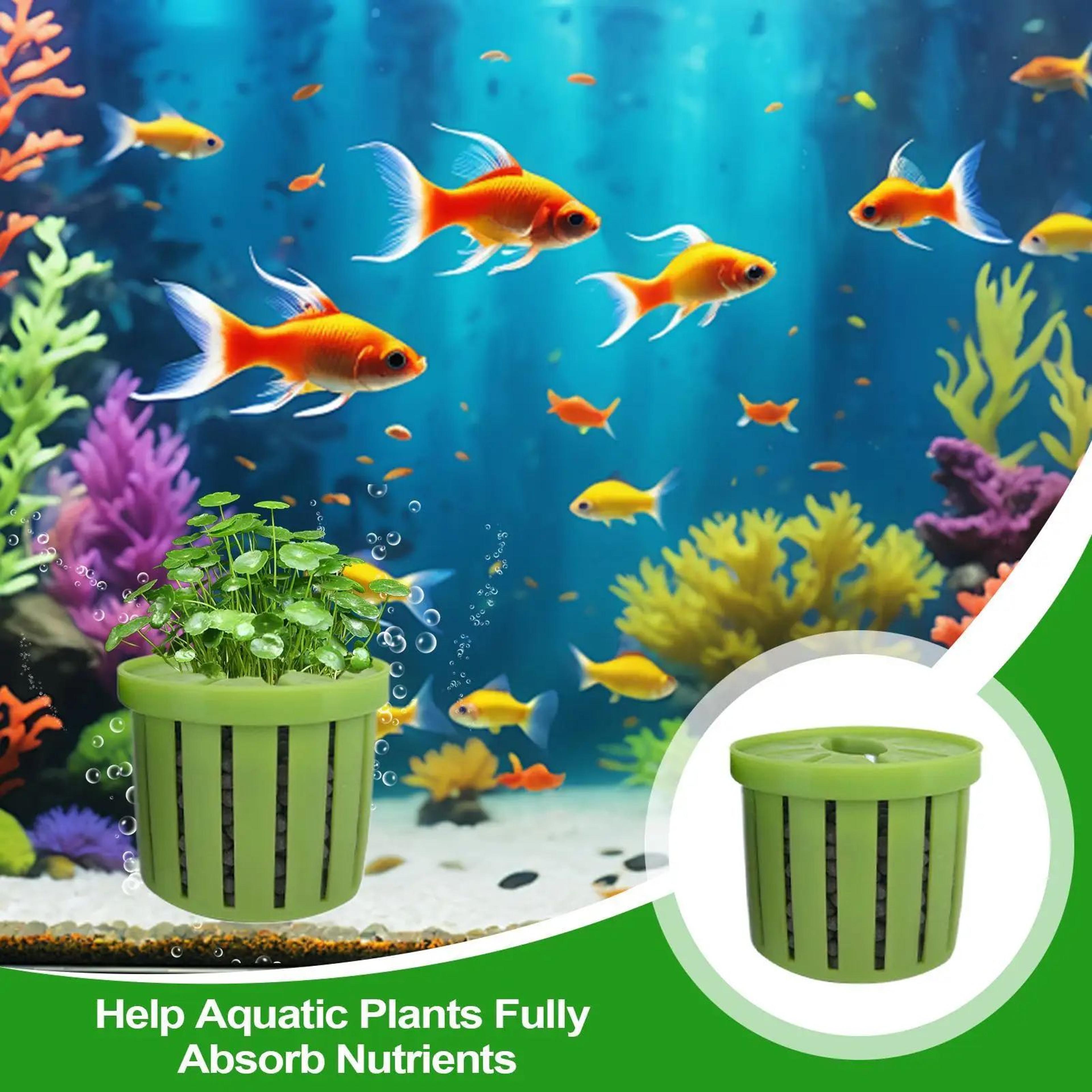 4 Piece Aquarium Hydroponic Plant Baskets 5