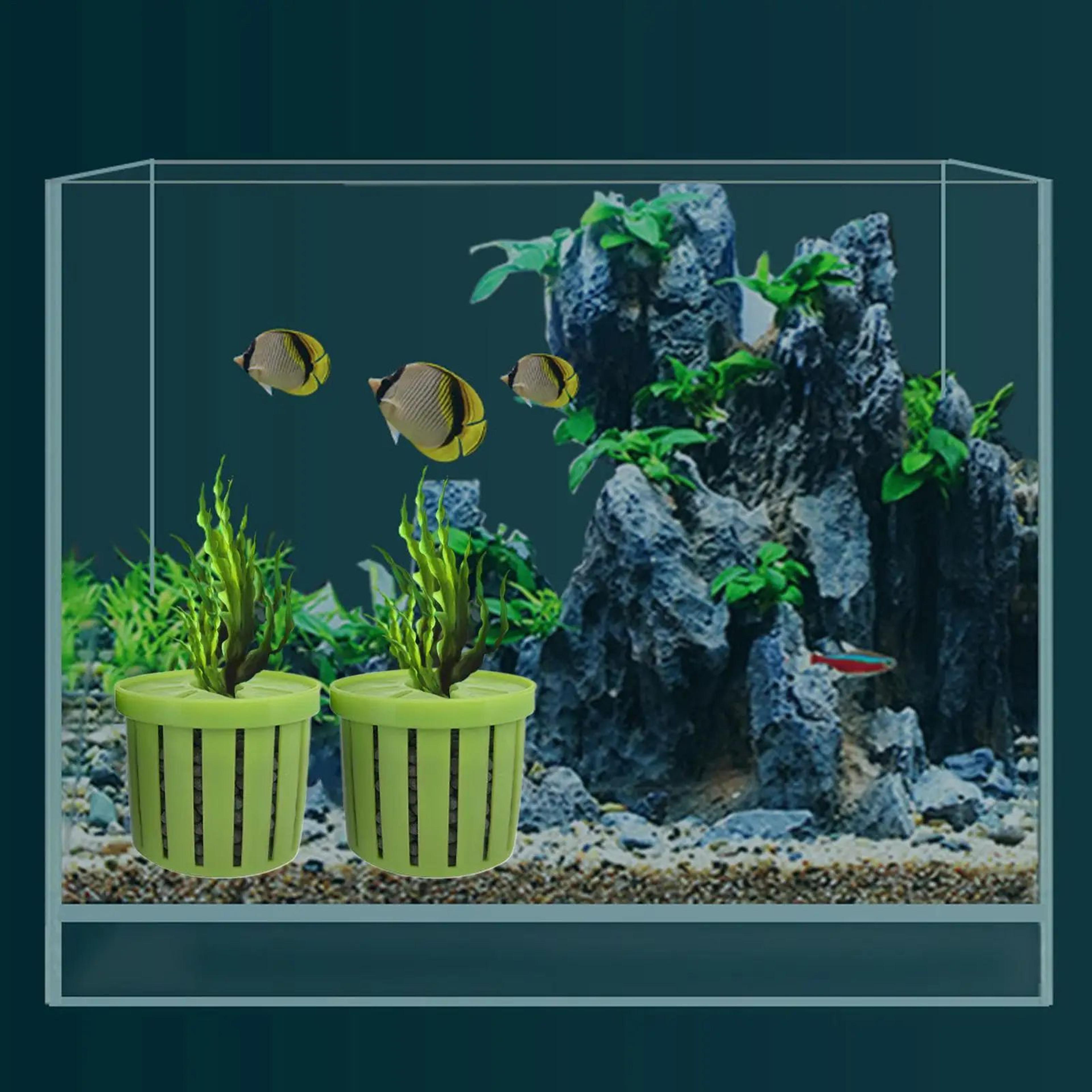 4 Piece Aquarium Hydroponic Plant Baskets 4