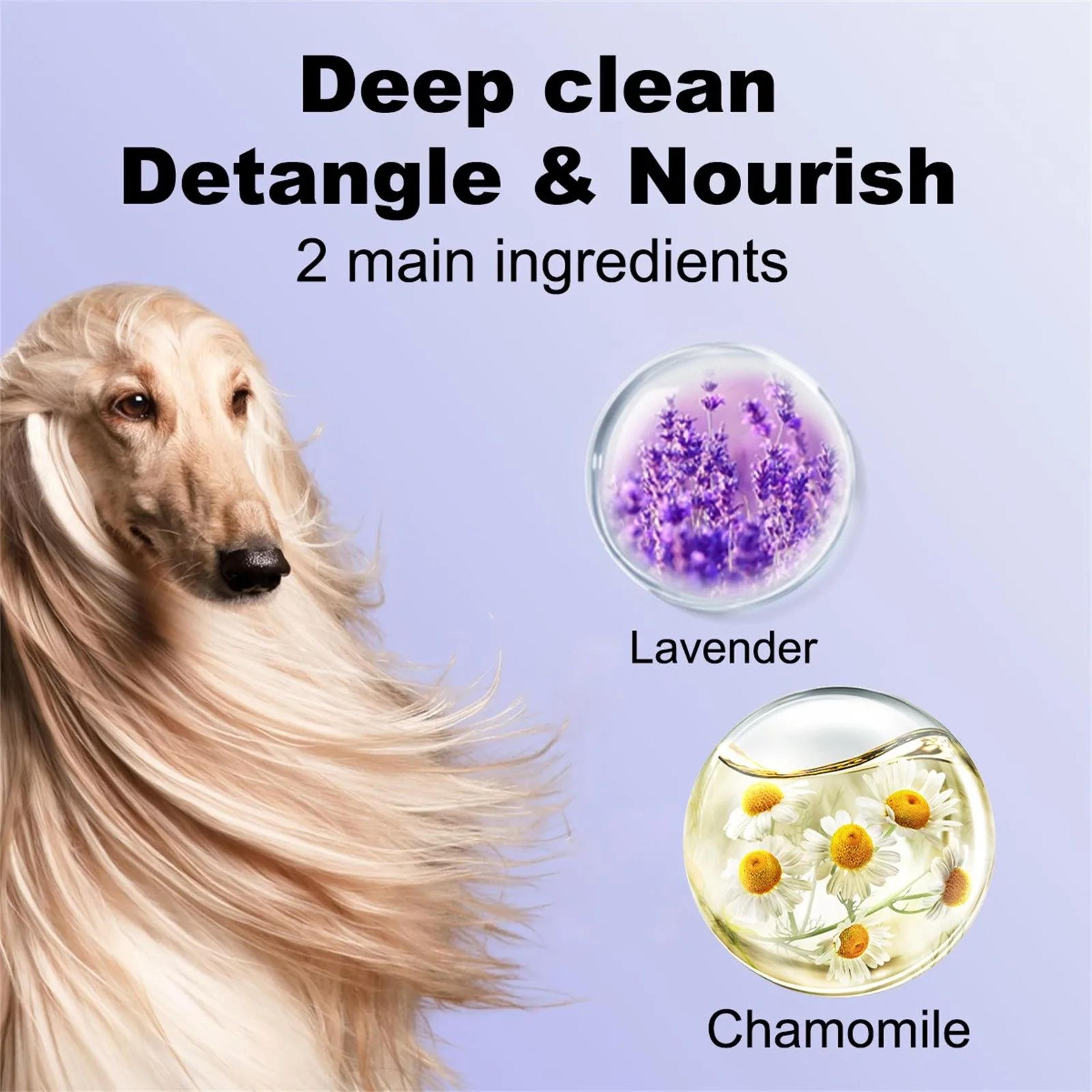 4 In 1 Lavender Chamomile Dog Shampoo 1