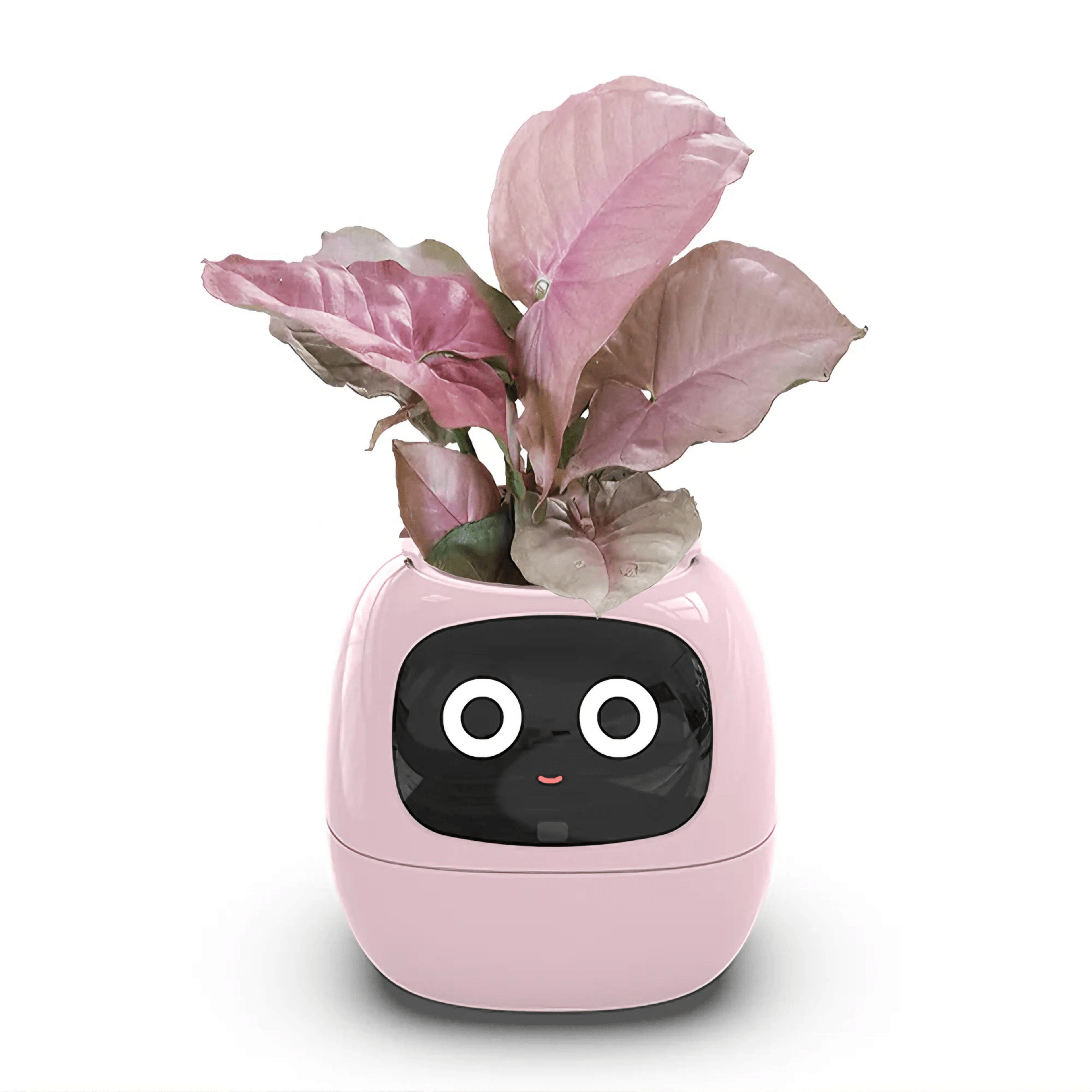Ivy Smart Plant Pot With AI Sensors And 49 Facial Expressions For Easy Indoor Gardening 9