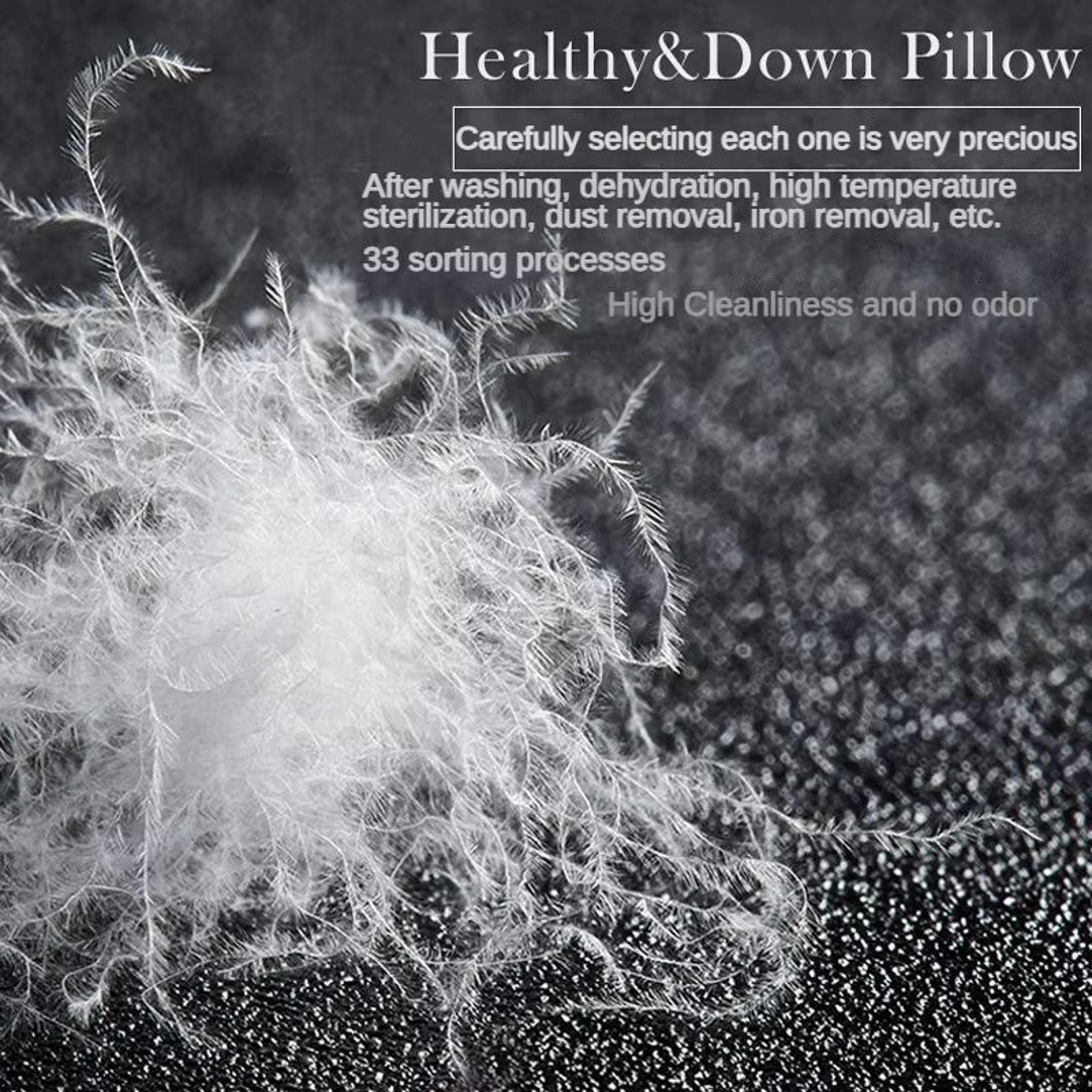 Luxury Goose Down Pillow  95 Fill With Soft Cotton Cover For HotelQuality Sleep 2