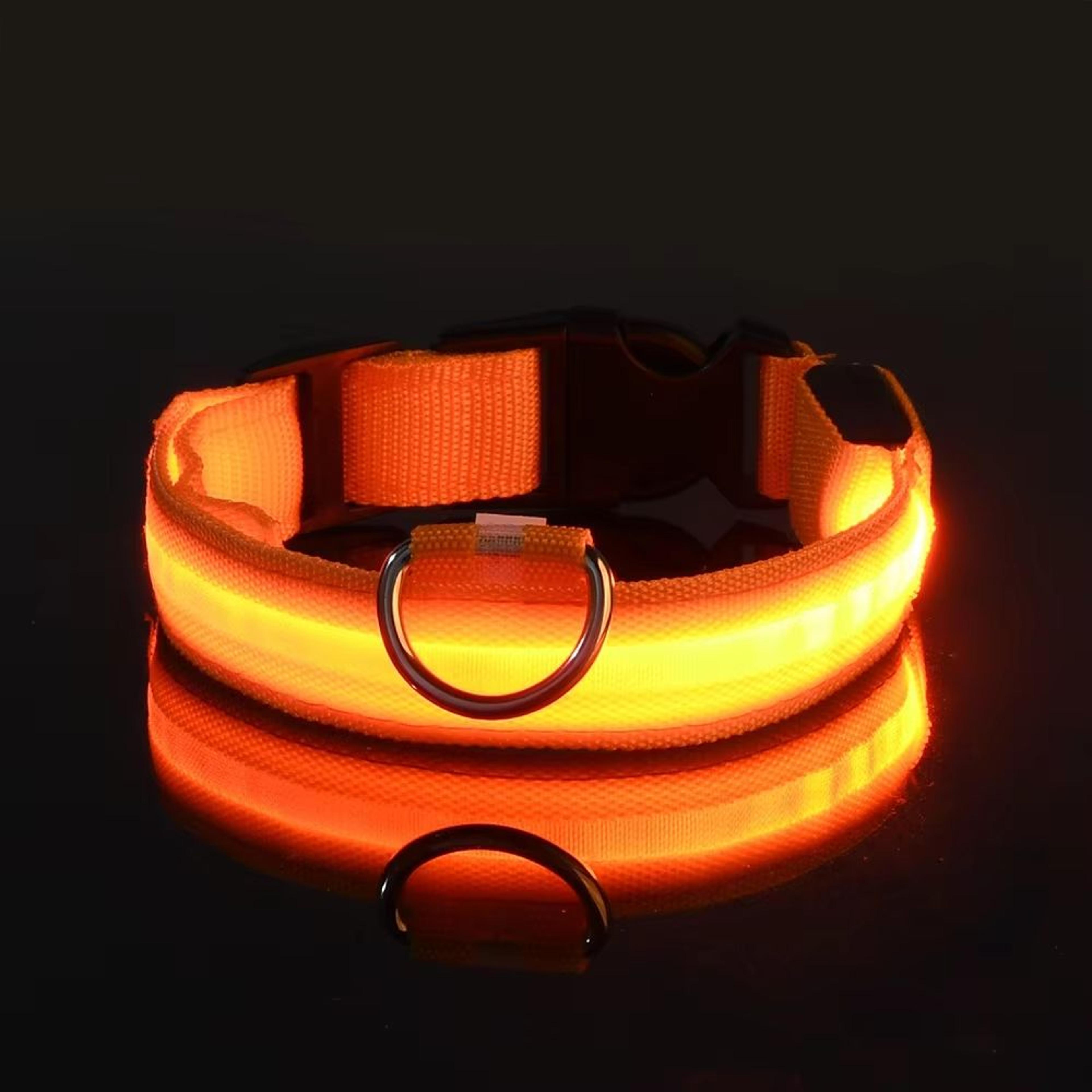 Nylon LED Glow Dog Leash  Collar Set  Night Safety Reflective LightUp Pet Gear For Walks After Dark 12