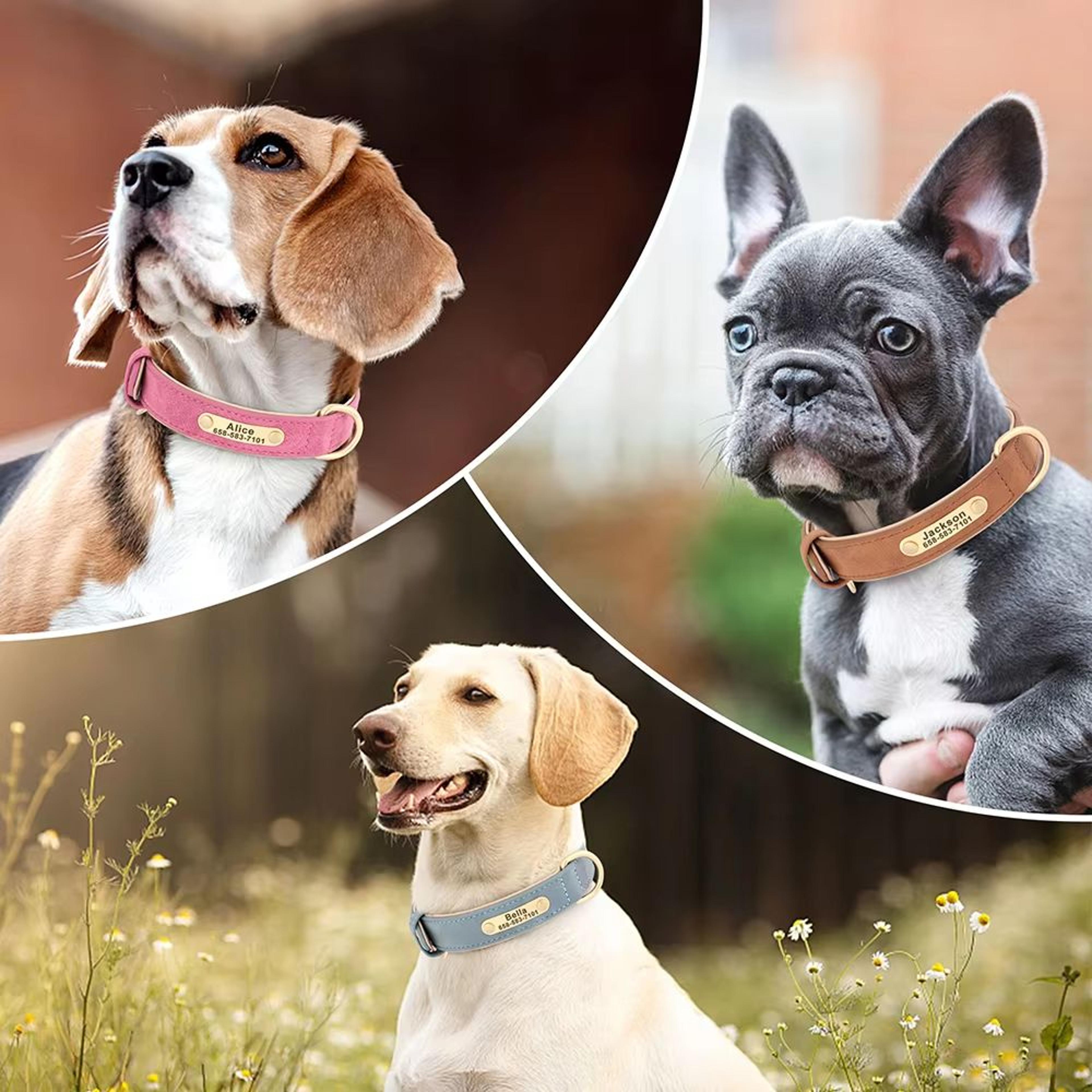 Custom Engraved PU Leather Dog Collar With Personalized ID Nameplate 5