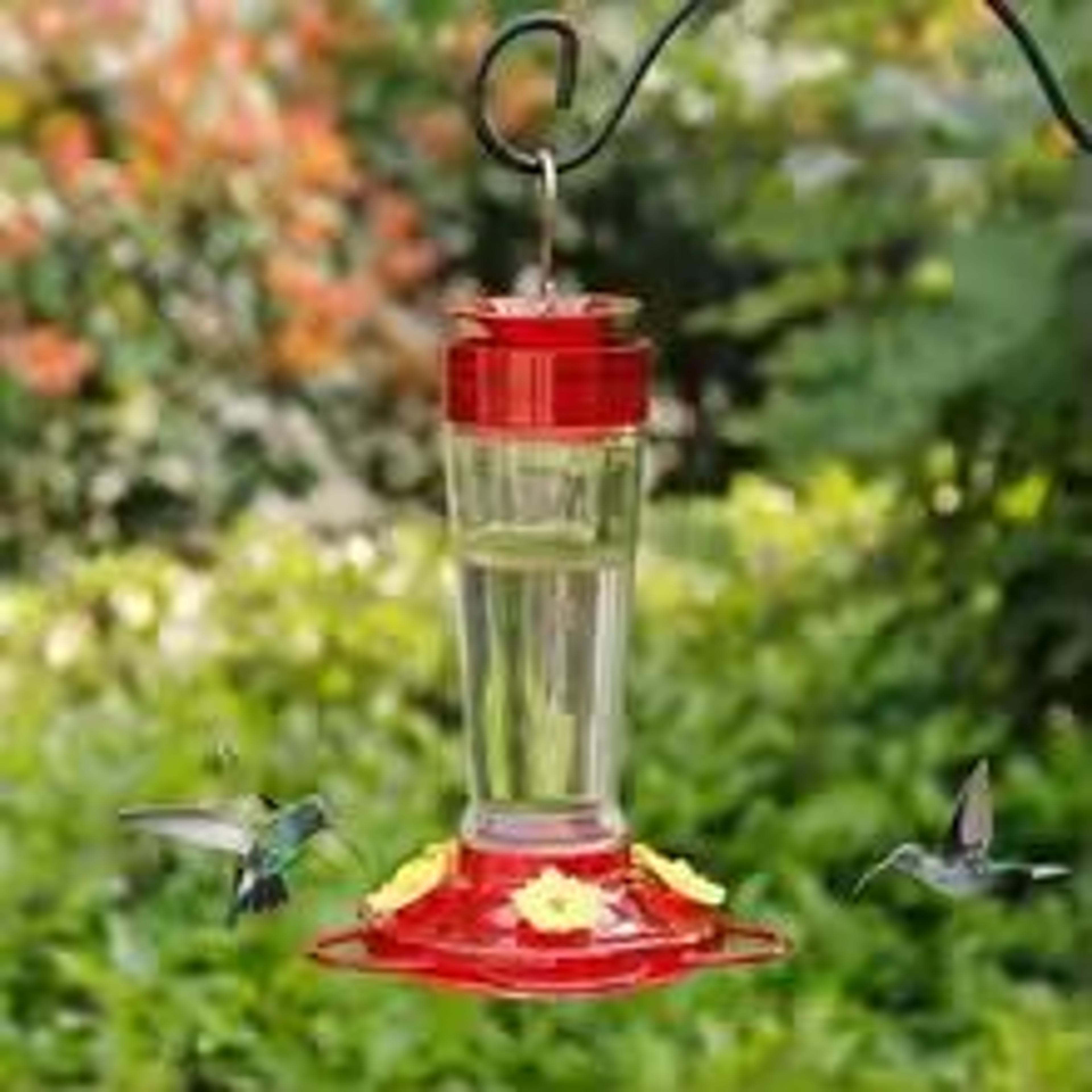 HummiFeast Hanging Hummingbird Feeder  5Port Nectar Feeder With Hook 135oz Capacity 5