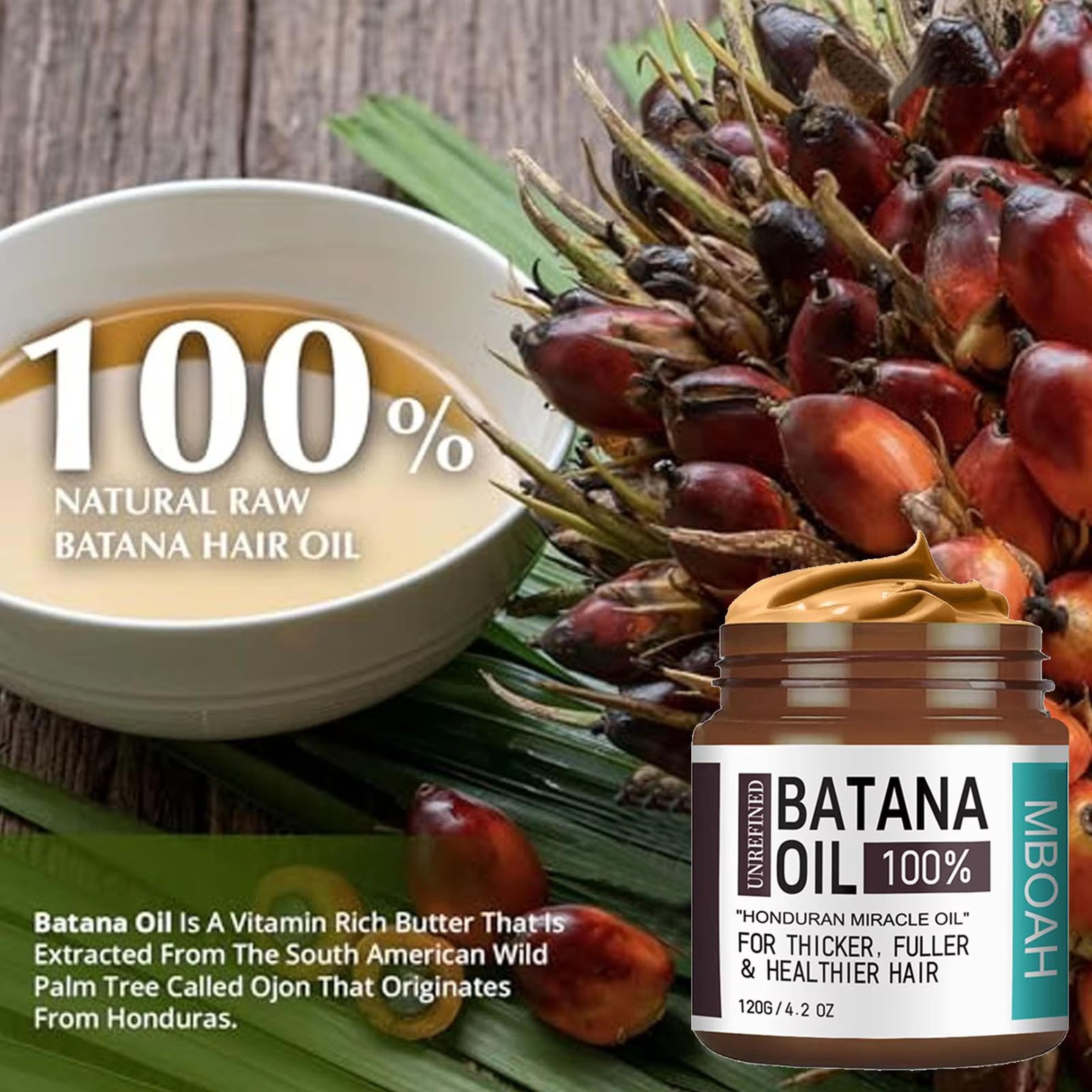 100 Batana Hair Oil  Thicker Fuller Healthier Hair  Silky Hair Nutrition For Men 1