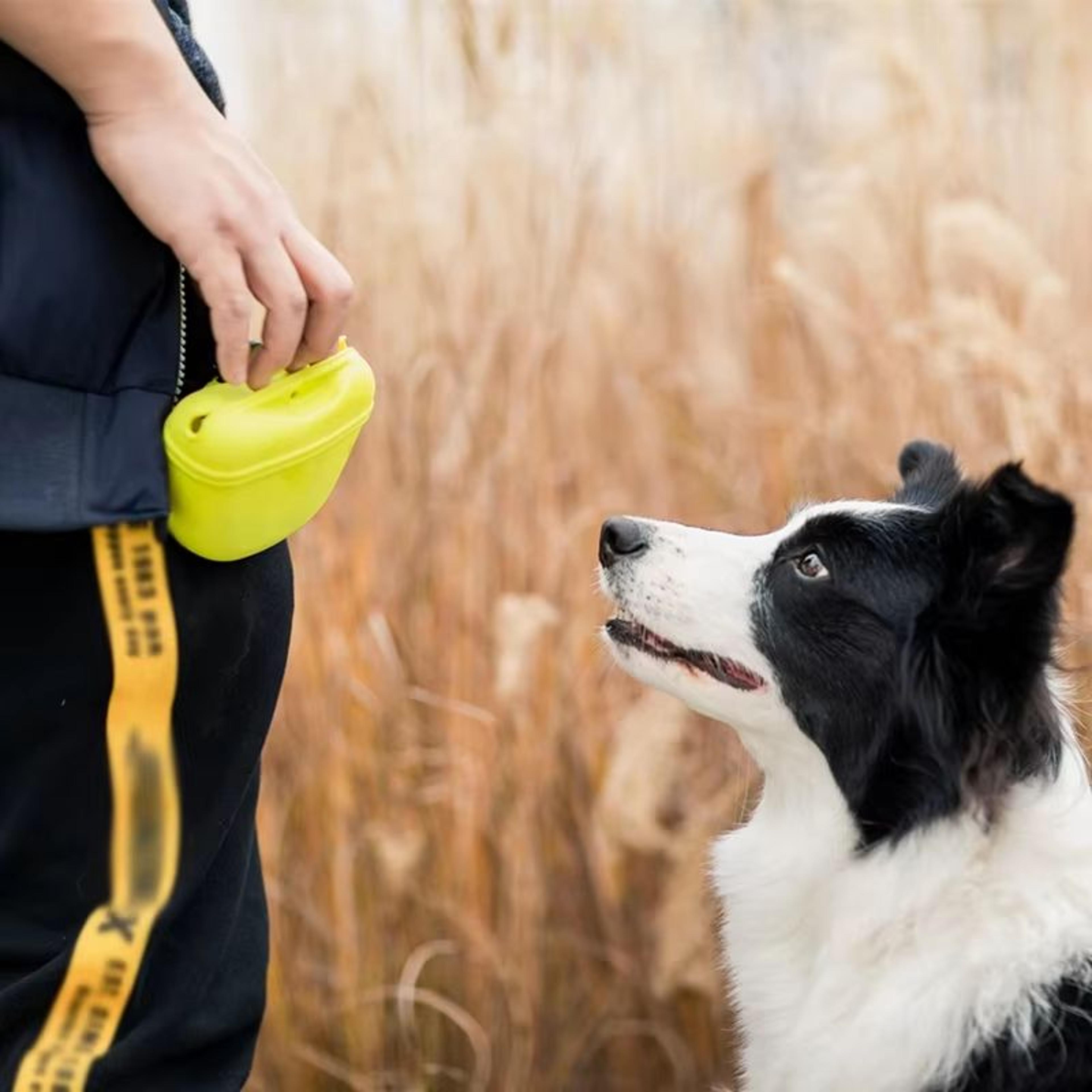 TrainingBuddy Premium Waist Treat Bag  Durable Snack  Reward Pouch For Dog Training 4