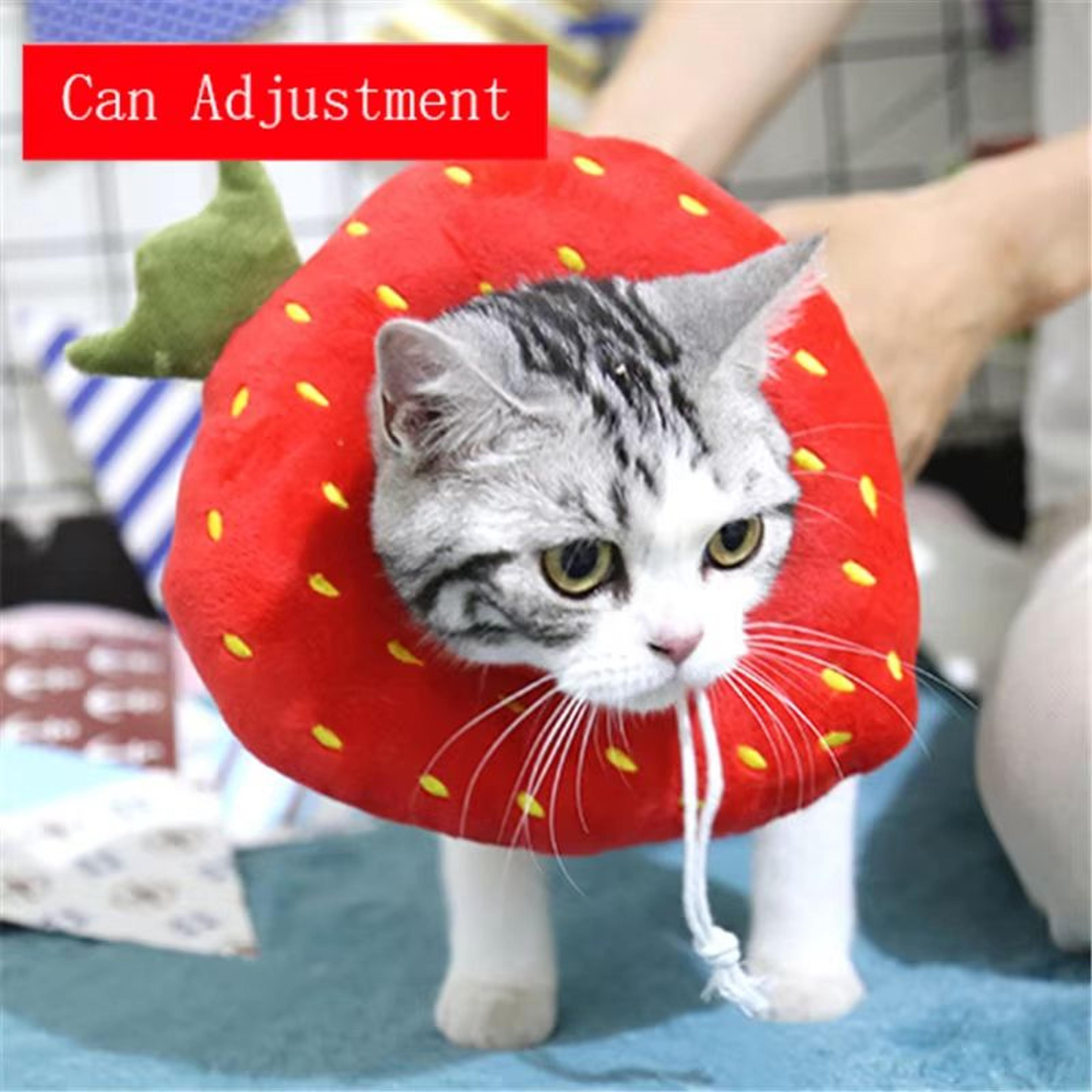 ComfortGuard Toast  Avocado Soft Cotton ECollar  Adjustable WoundProtection Shield For Dogs  Cats 8