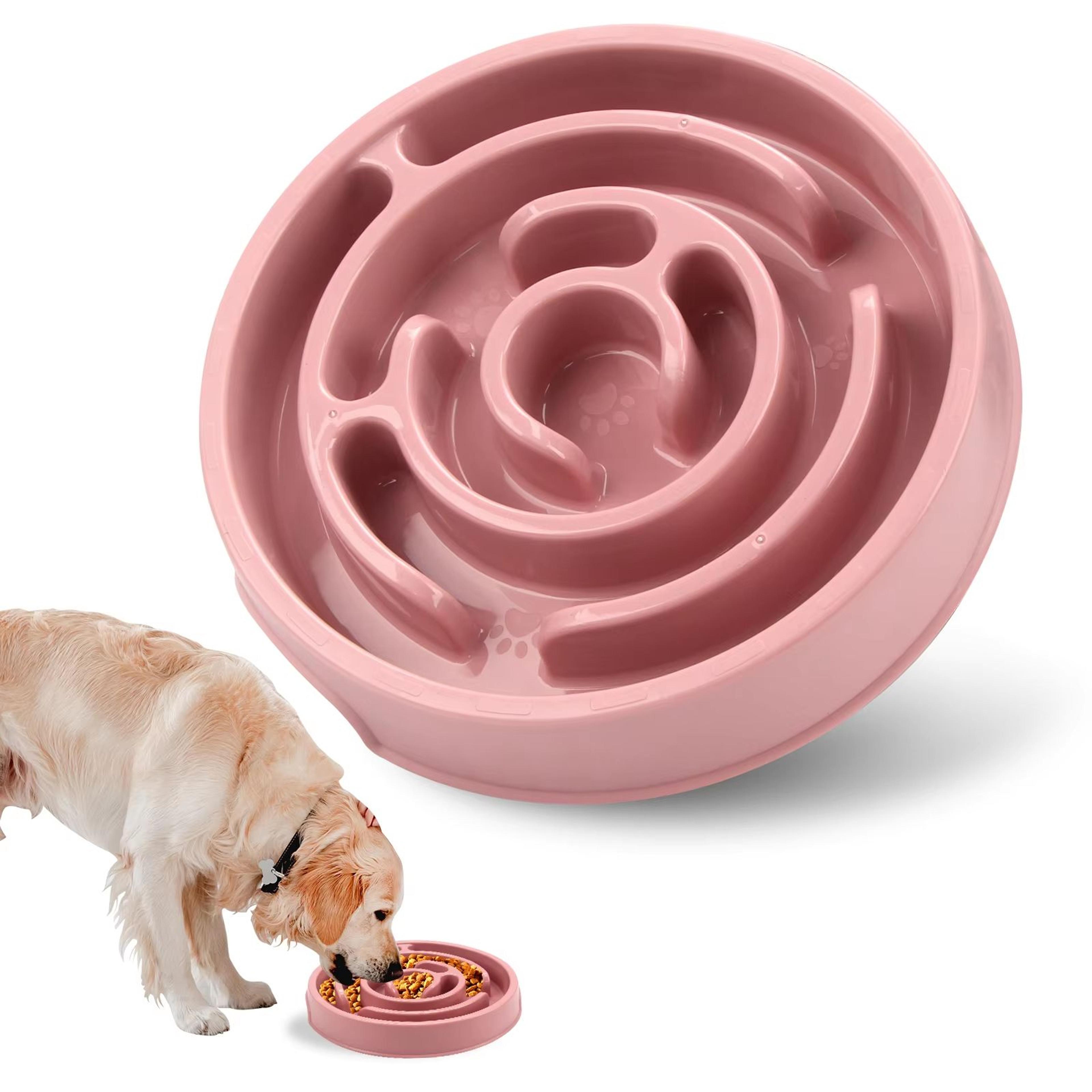 Eco Dog Slow Feeder Bowl  NonSlip Puzzle  AntiGulp Dish For Large Medium  Small Dogs 11
