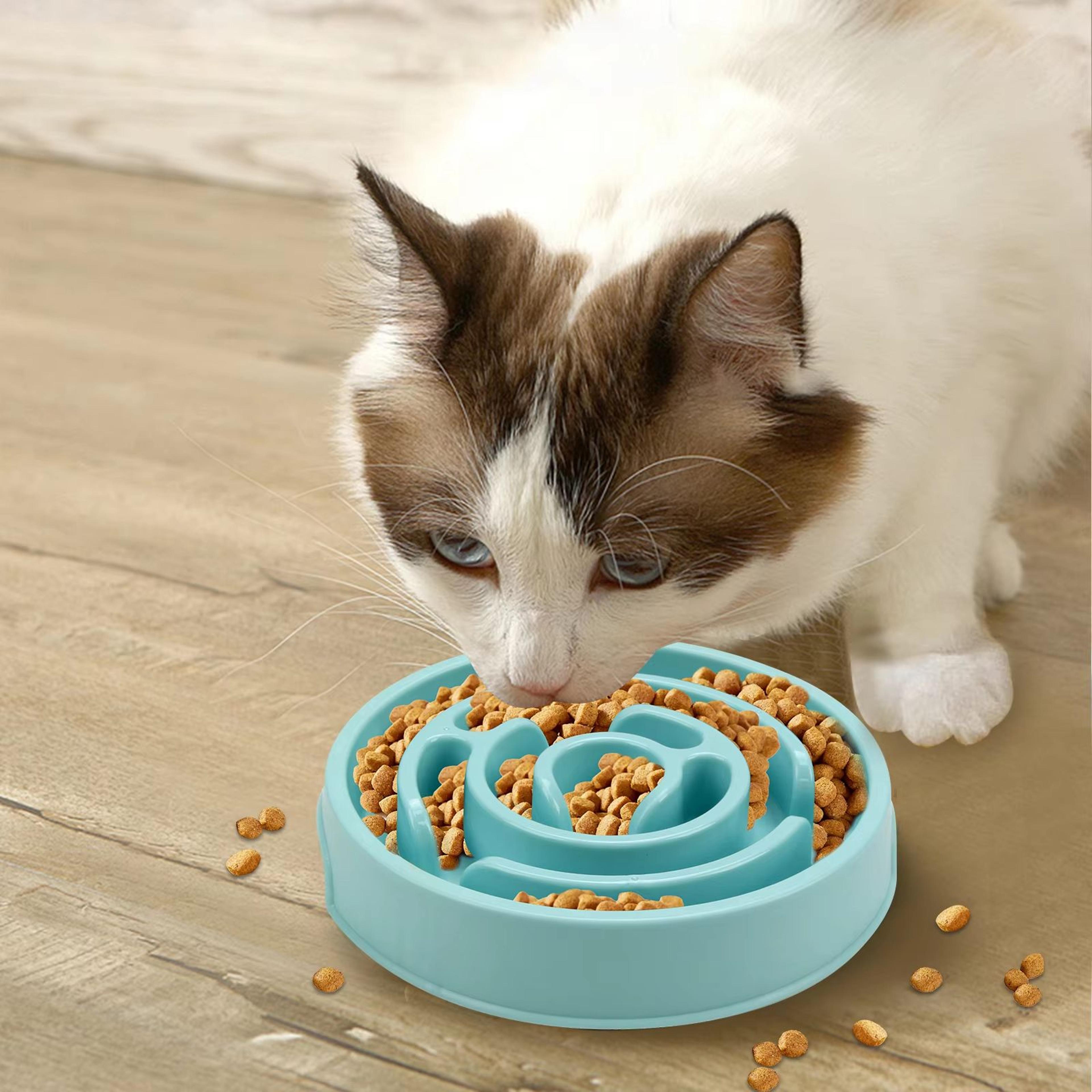 Eco Dog Slow Feeder Bowl  NonSlip Puzzle  AntiGulp Dish For Large Medium  Small Dogs 5