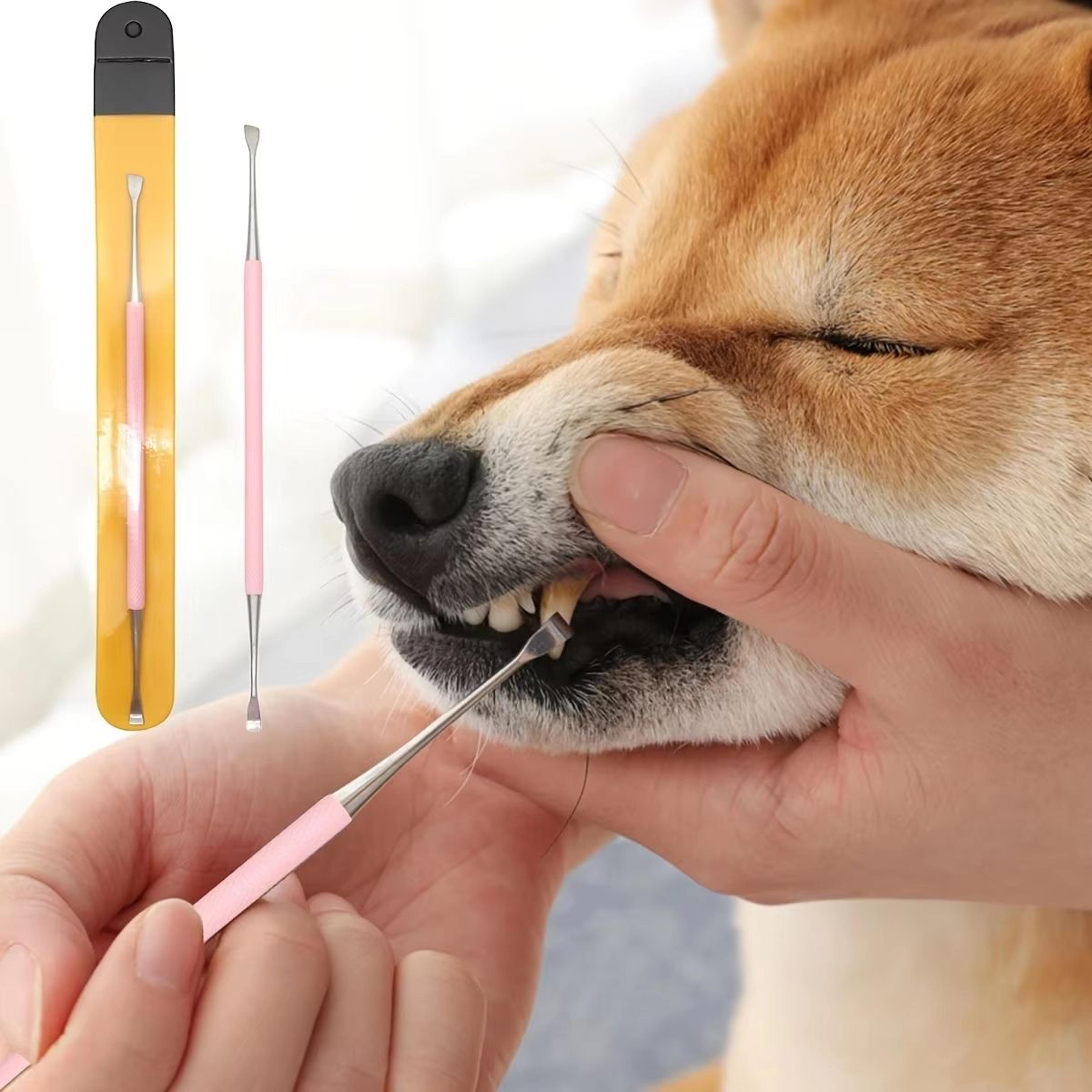 ProClean DualHead Dog Tartar Remover  Oral Care Kit 0