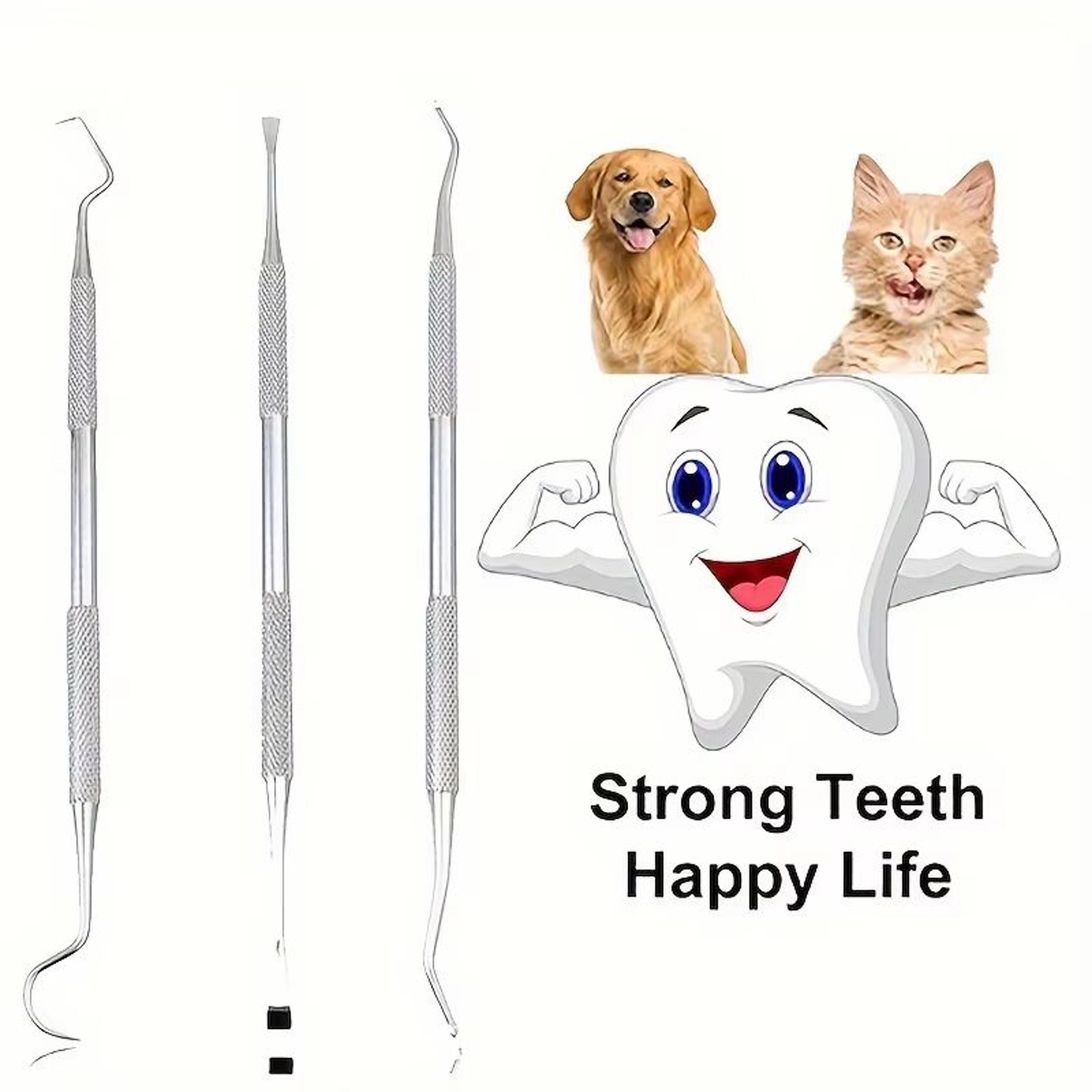 PetPearl Dental Hygiene Kit For Dogs  Cats  Stainless Steel Plaque And Calculus Remover Set 0