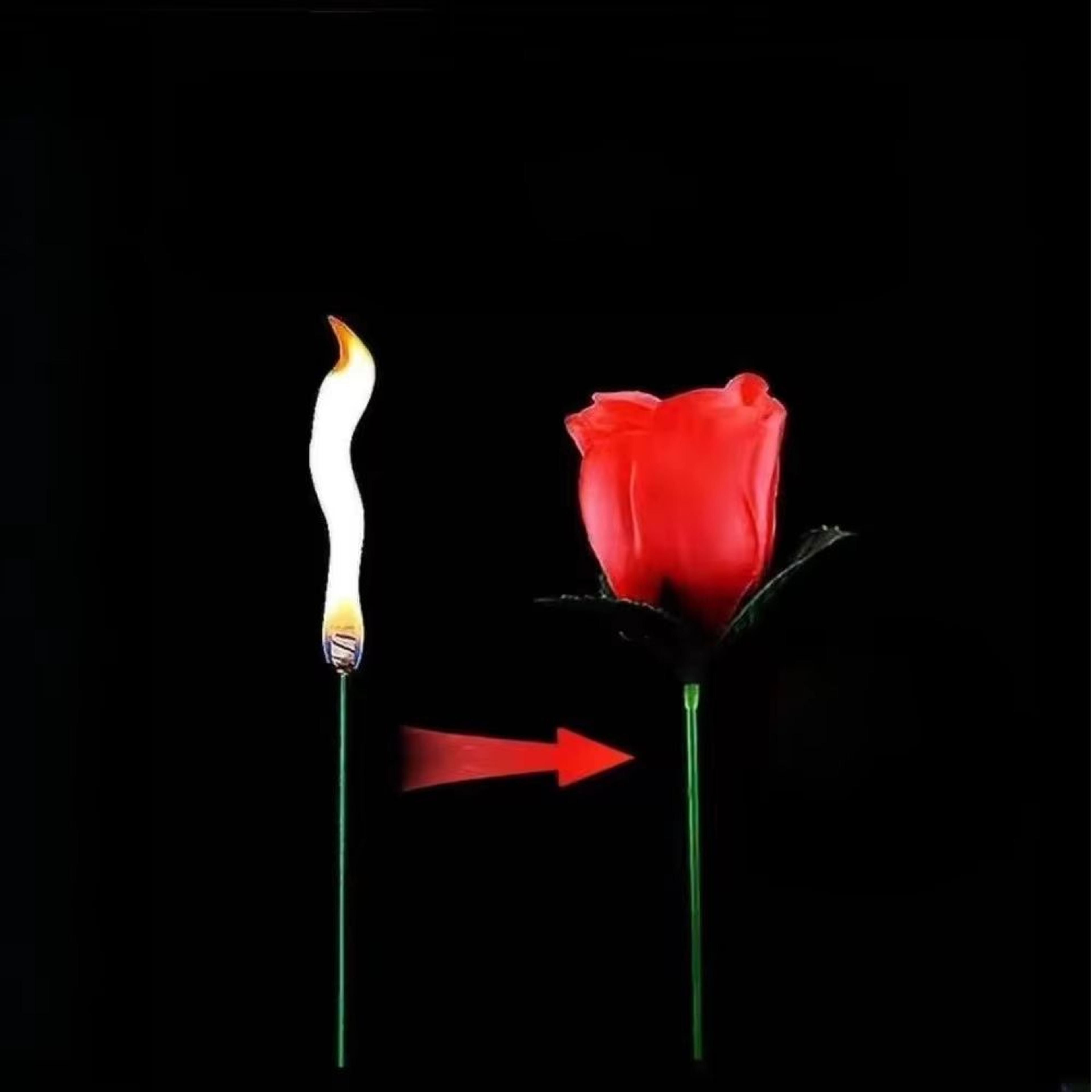 Flame To Red Rose Magic Trick Torch Surprise Prop 2