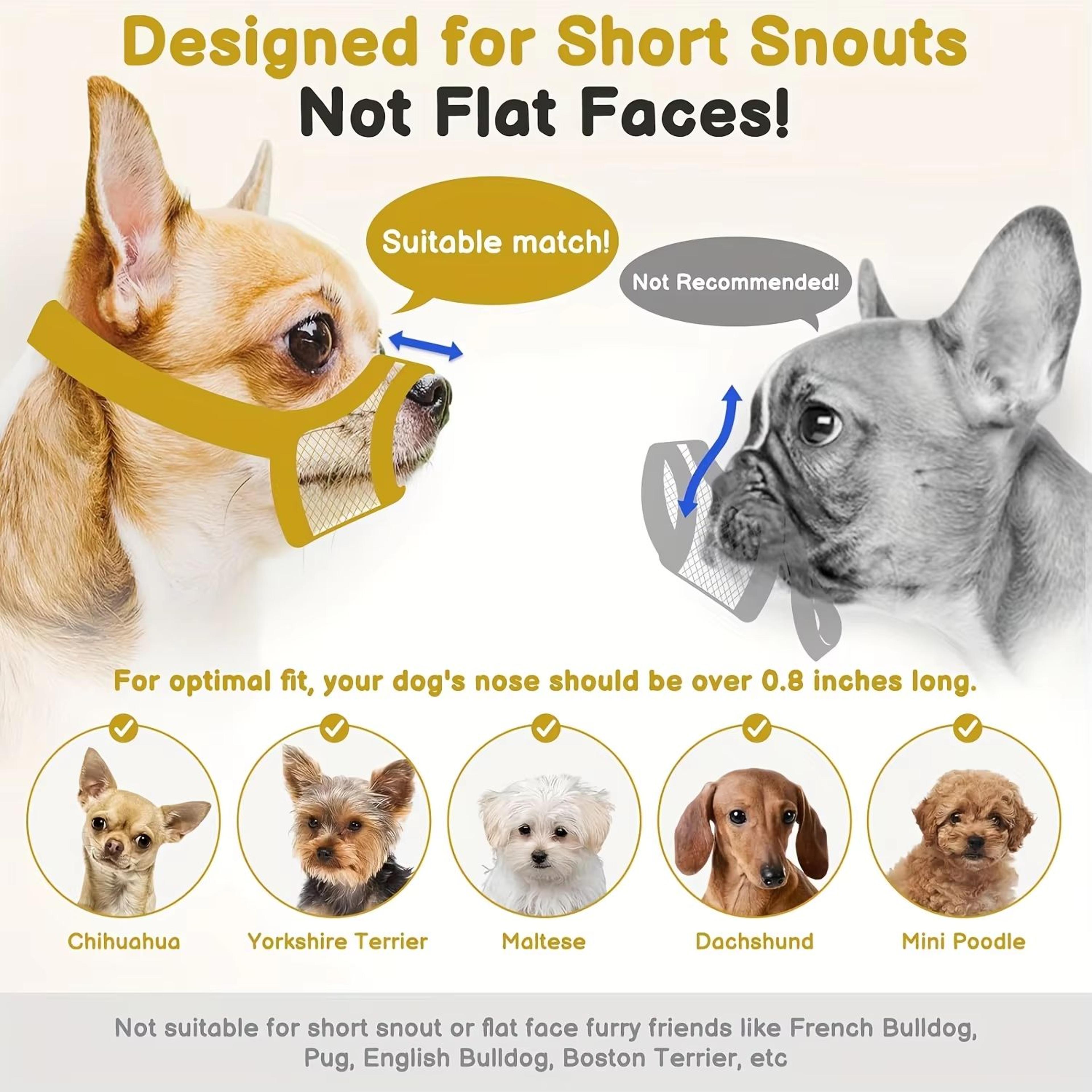BrachyGuard Soft Mesh Muzzle For ShortSnout  SmallMedium Dogs 2