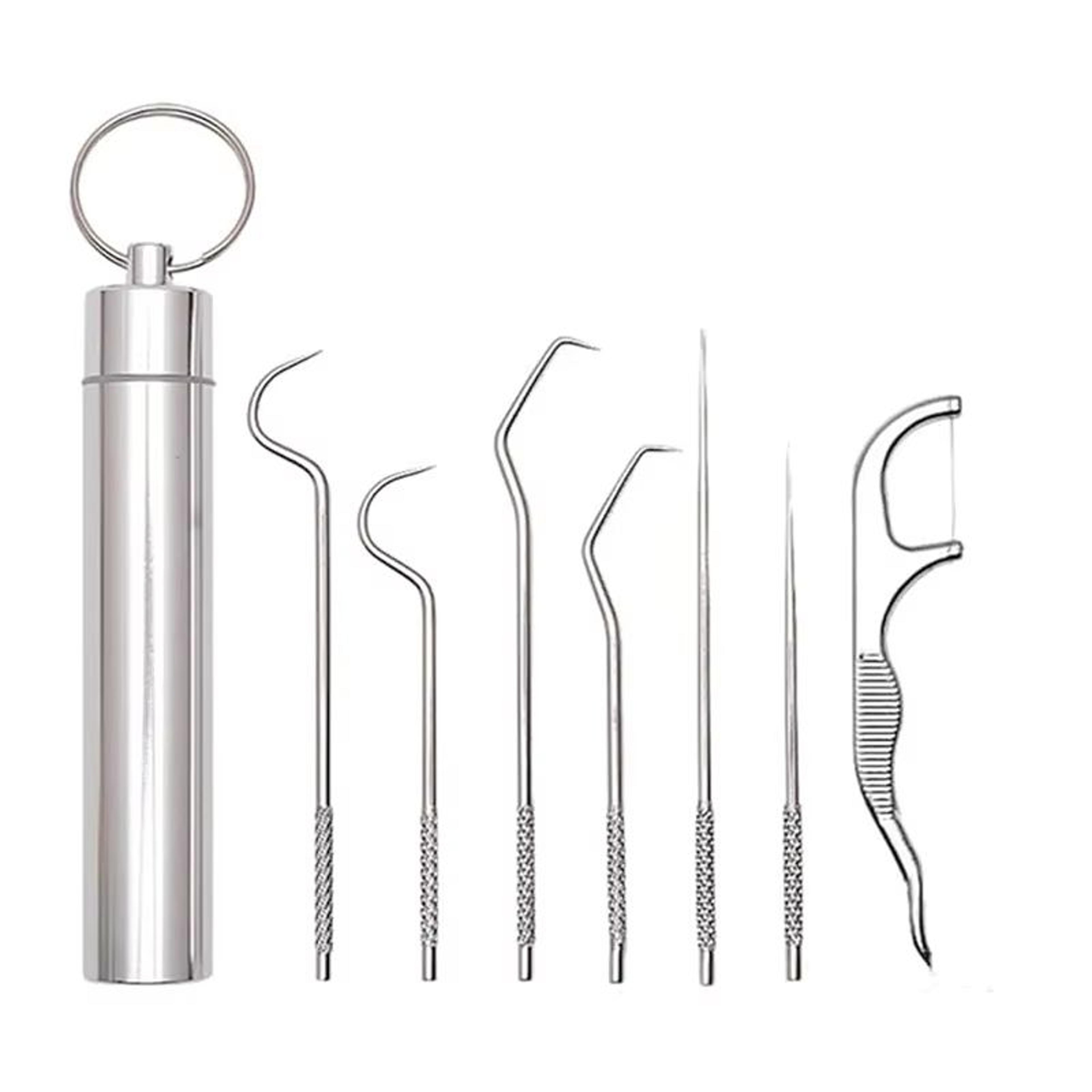 Stainless Steel Reusable Toothpick Set  Portable Metal Floss Picks For Clean Teeth Anywhere 5