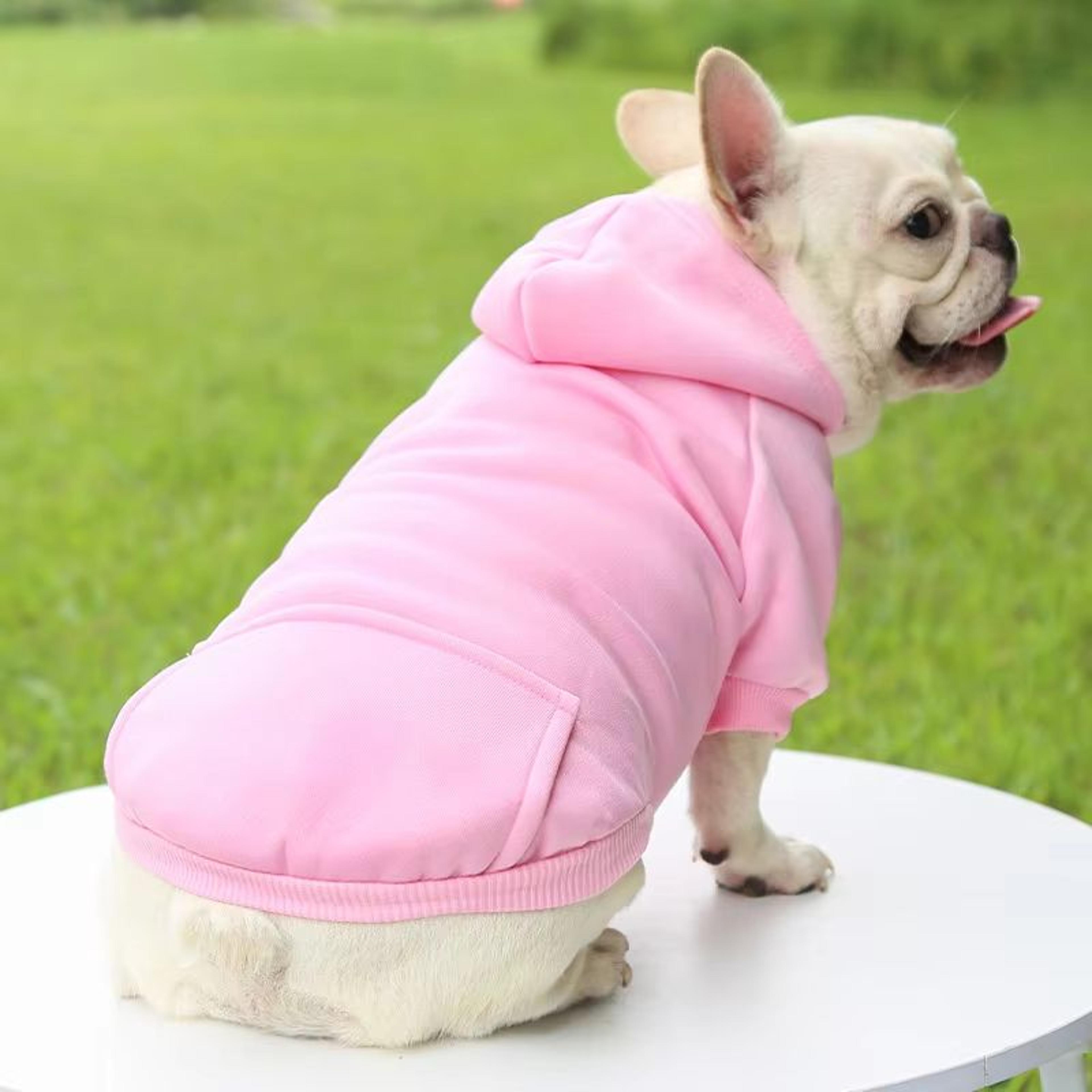Fashion Dog Hoodie For Autumn And Winter  Thick Warm Pet Clothes For Small Dogs 4