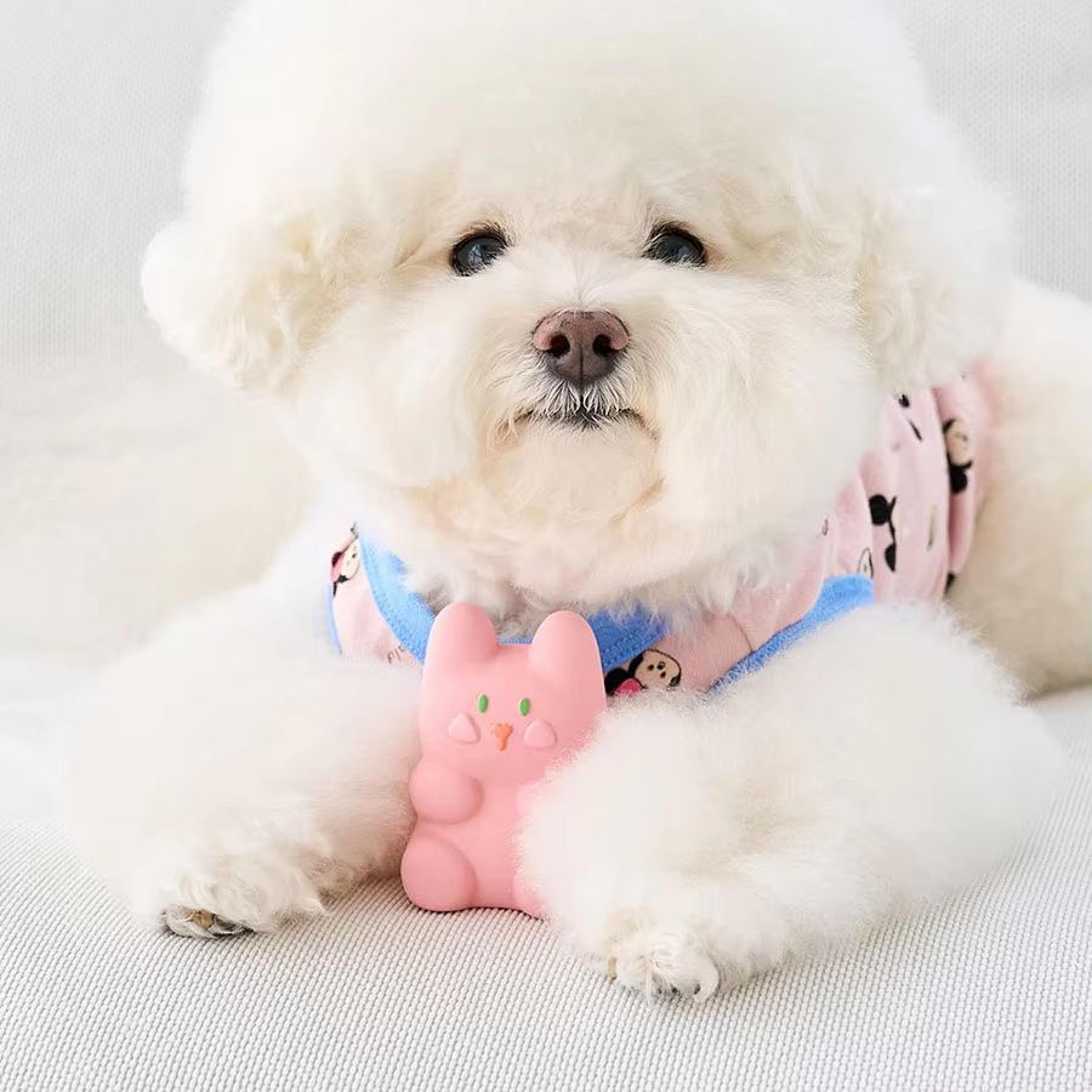 Squeaky Latex Dog Toys Set  Interactive Beeping Playtime Companions For Puppies And Dogs 3