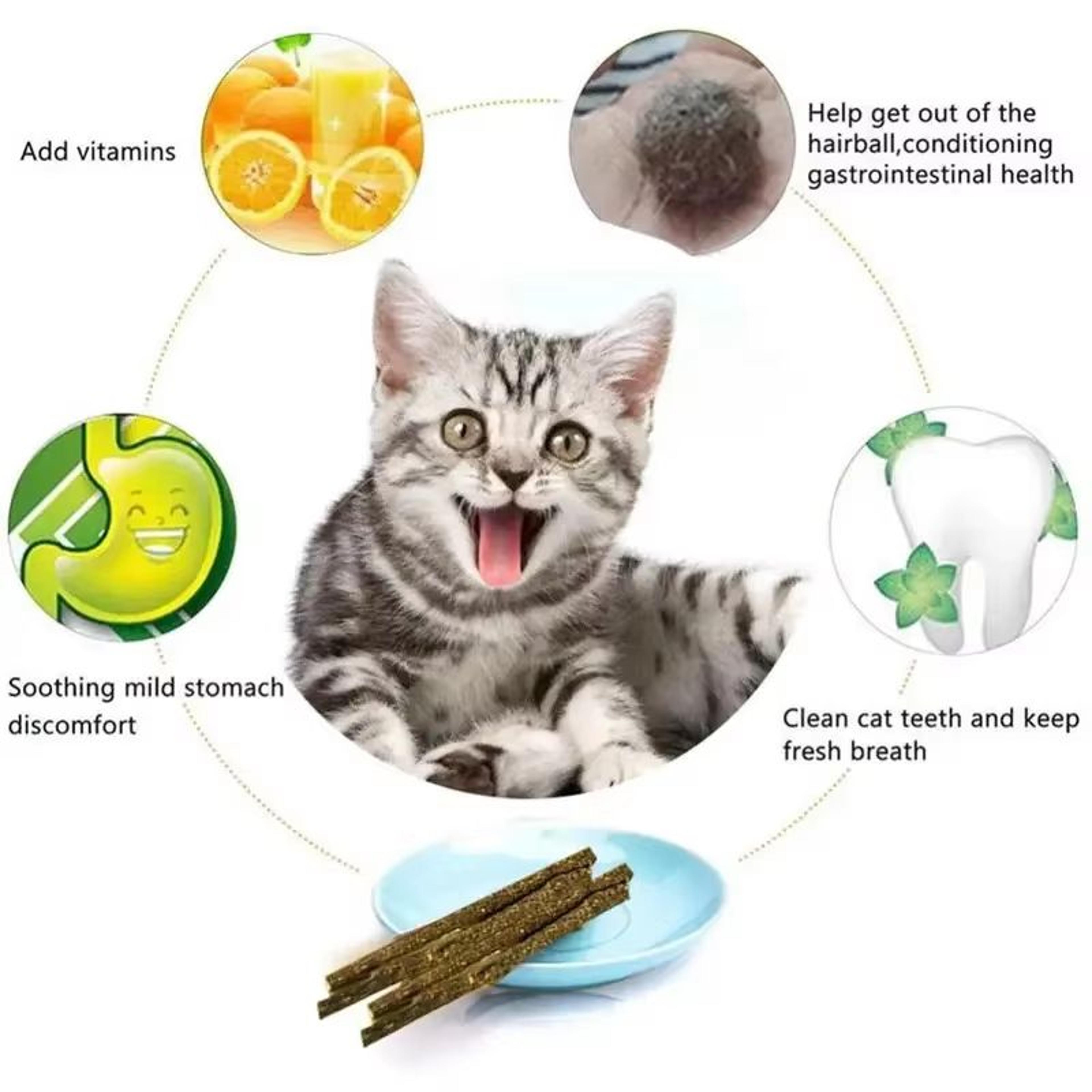 Natural Matatabi Silvervine Cat Stick Toys 618 Pcs For Play  Teeth Cleaning 5