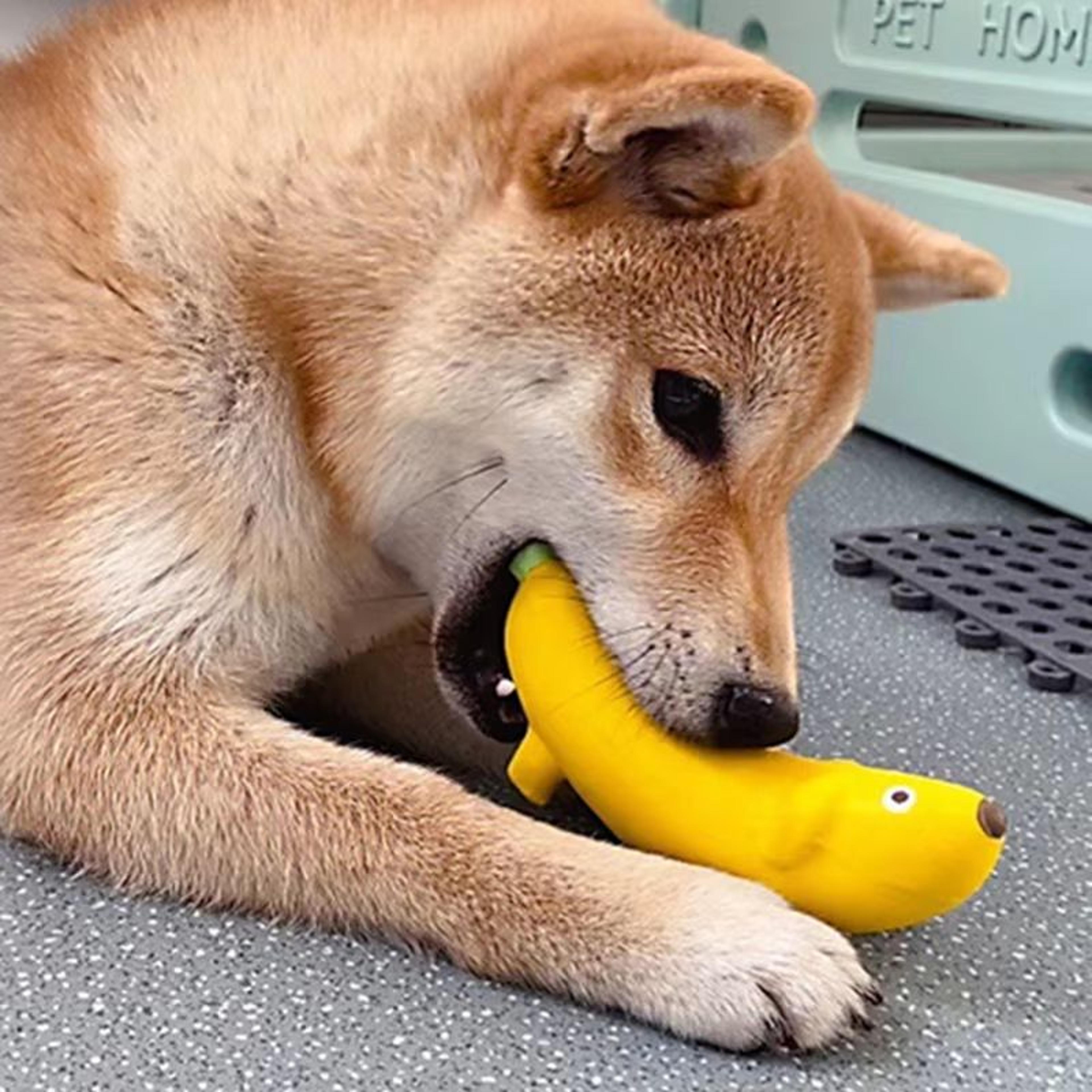 BananaShape Squeaky Dog Toy Latex Chew Toy  BiteResistant Interactive Pet Toy 2