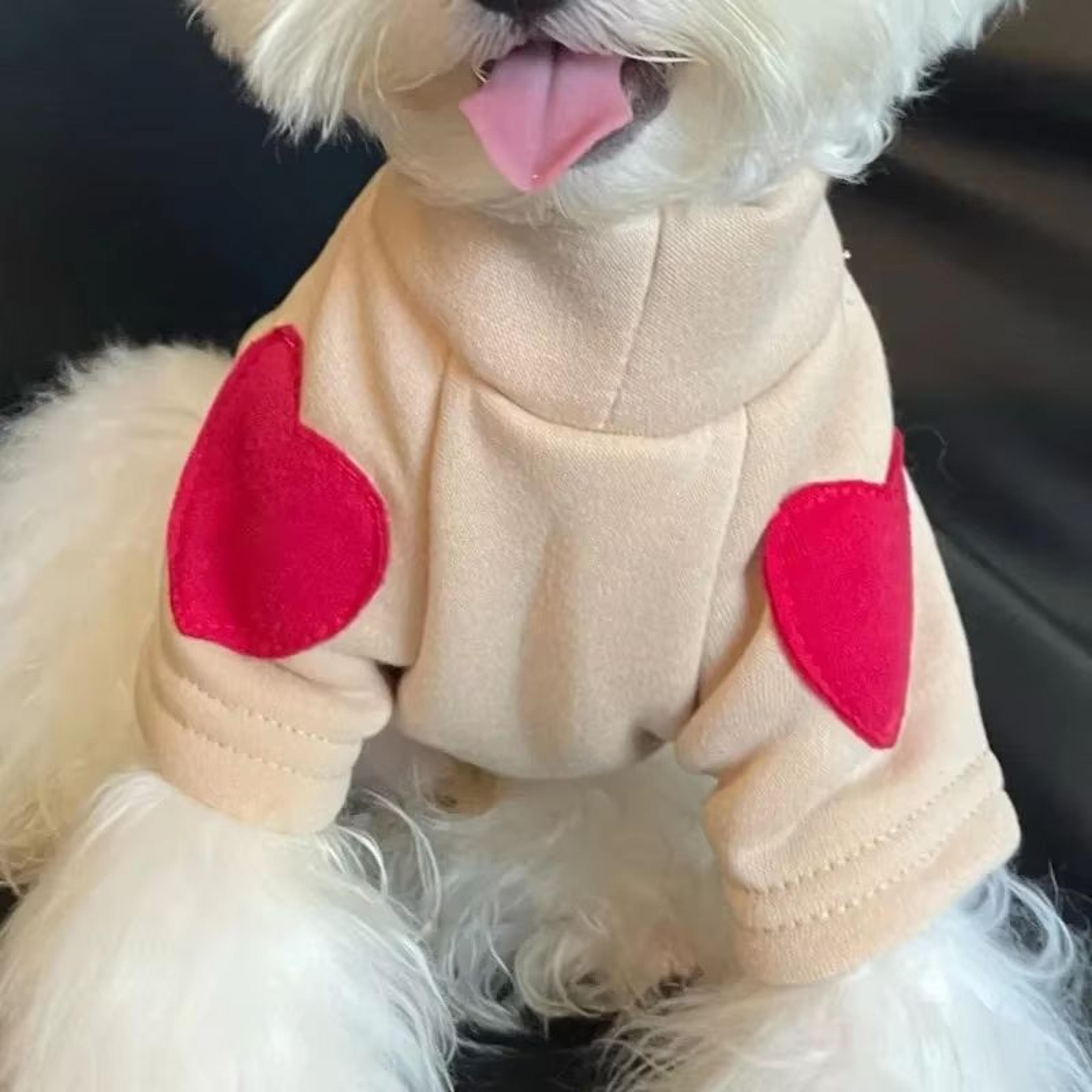 Winter Warm Pet Sweater Hoodie Thickened Dog And Cat Clothes For Small To Medium Pets 1