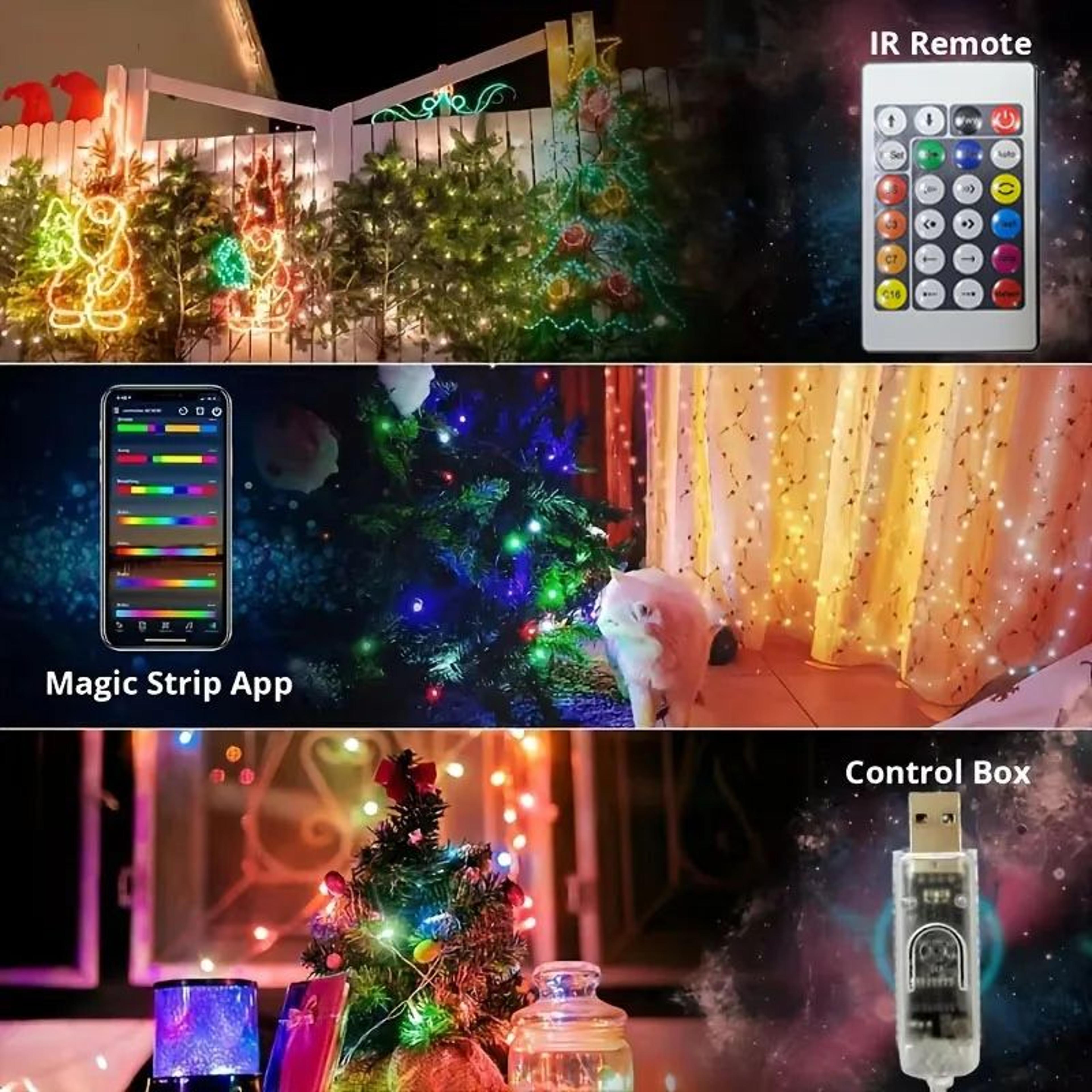 WS2812B RGB Bluetooth LED Strip Lights Smart Dreamcolor Fairy Lights 1