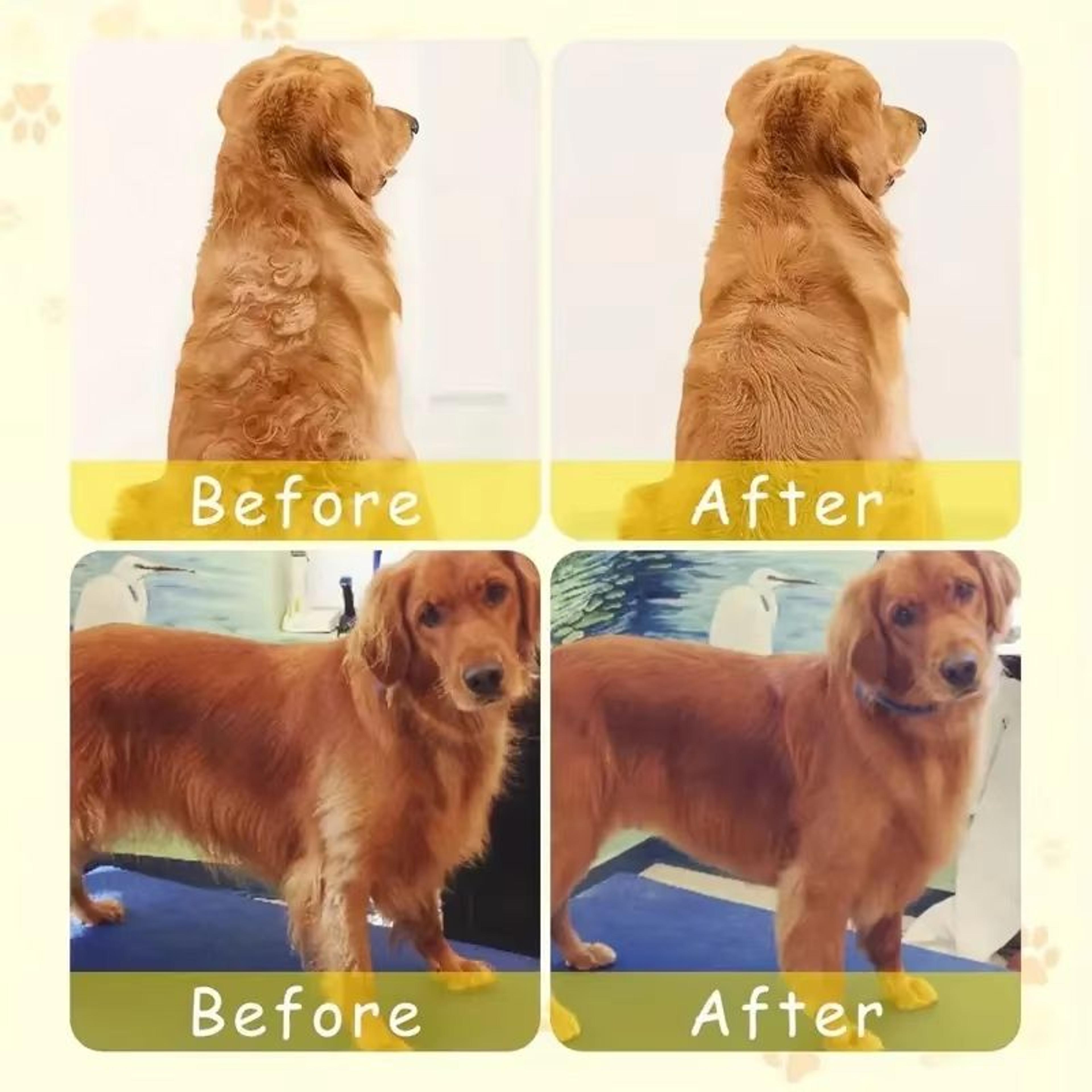 3 In 1 Steam Dog Brush For Gentle Pet Grooming And Deshedding 2