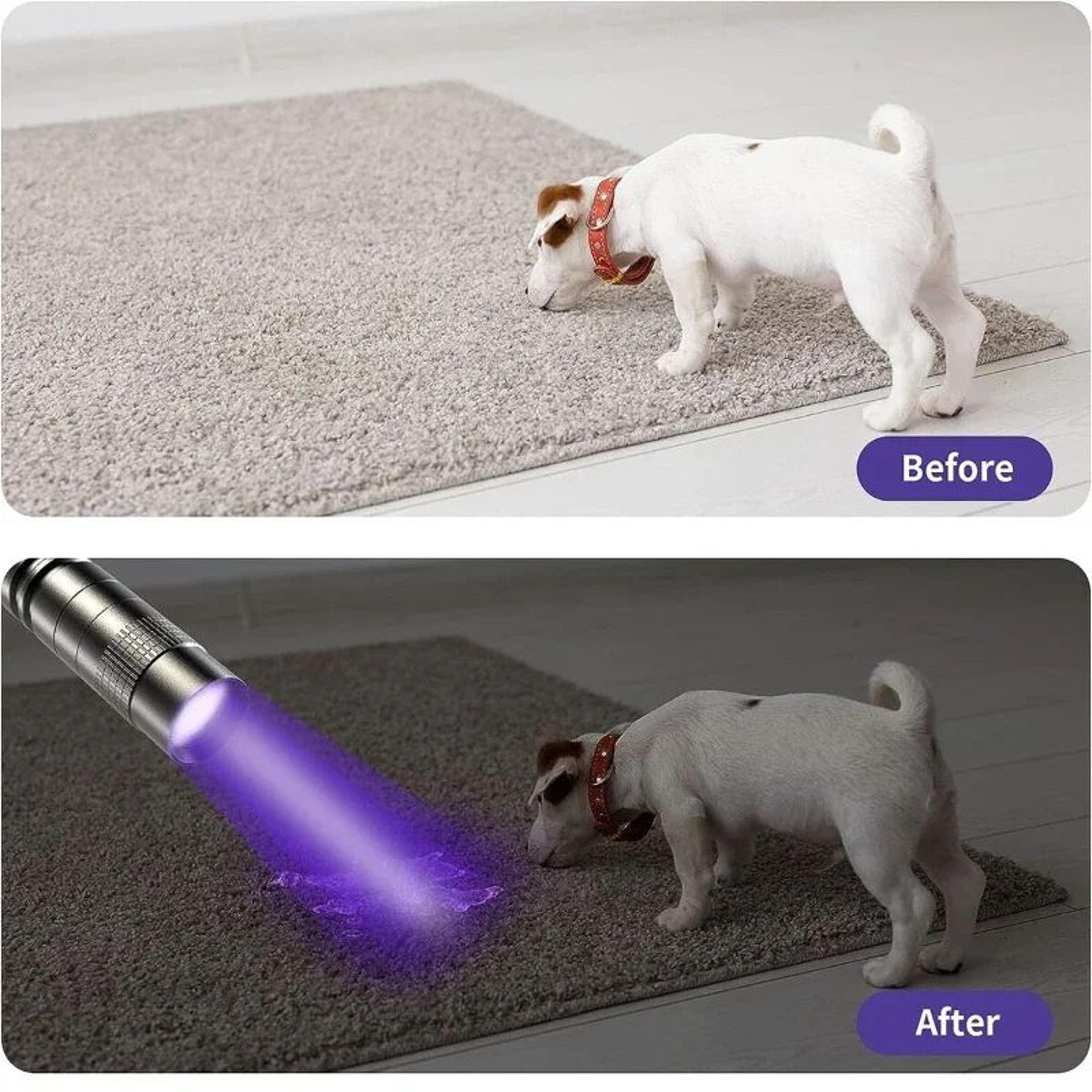 395nm UV Flashlight Portable Black Light Torch For Pet Stain  Scorpion Detection 1