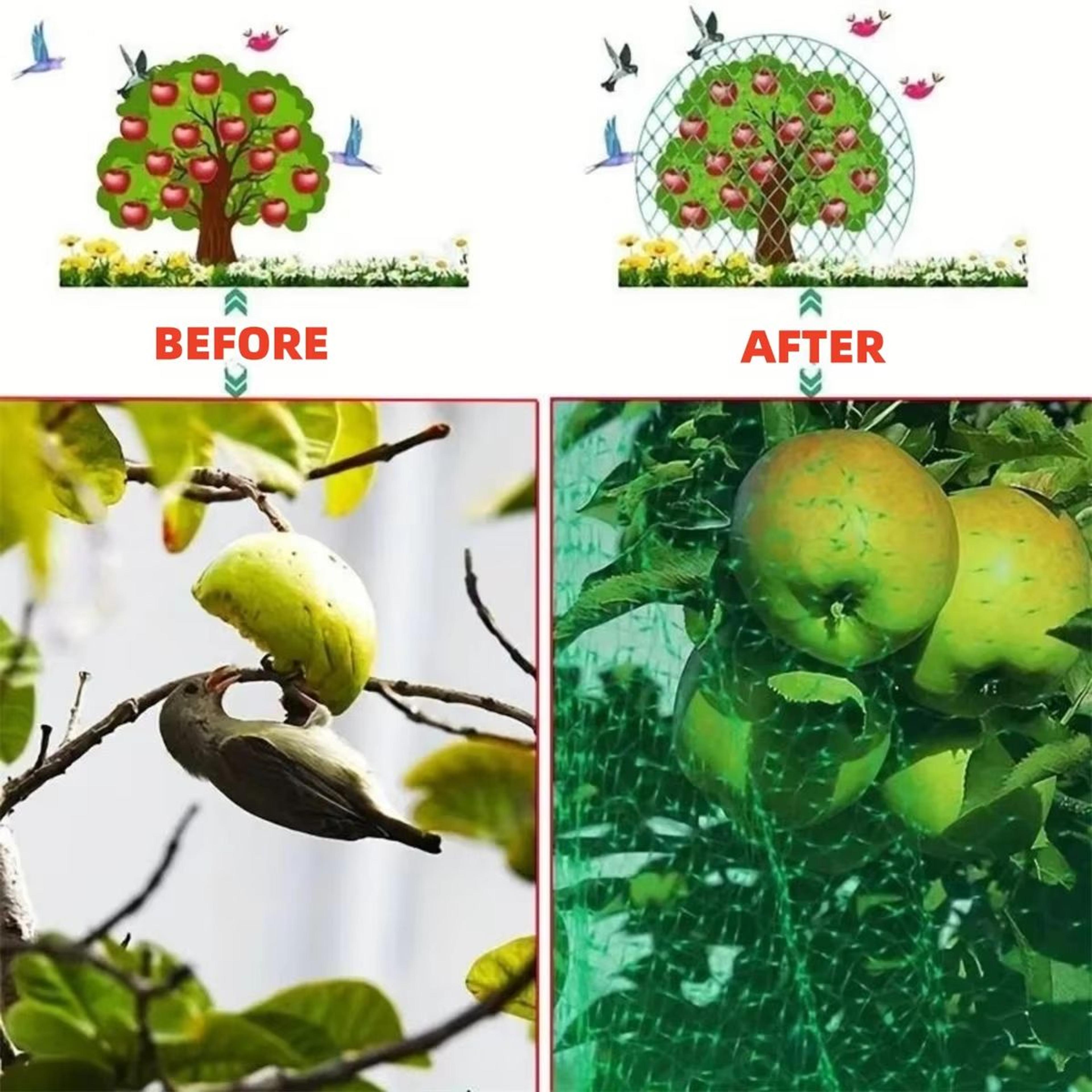 Garden BirdProof Nylon Mesh Netting 20 Mm For Yard Orchard Flower  Vegetable Protection 3