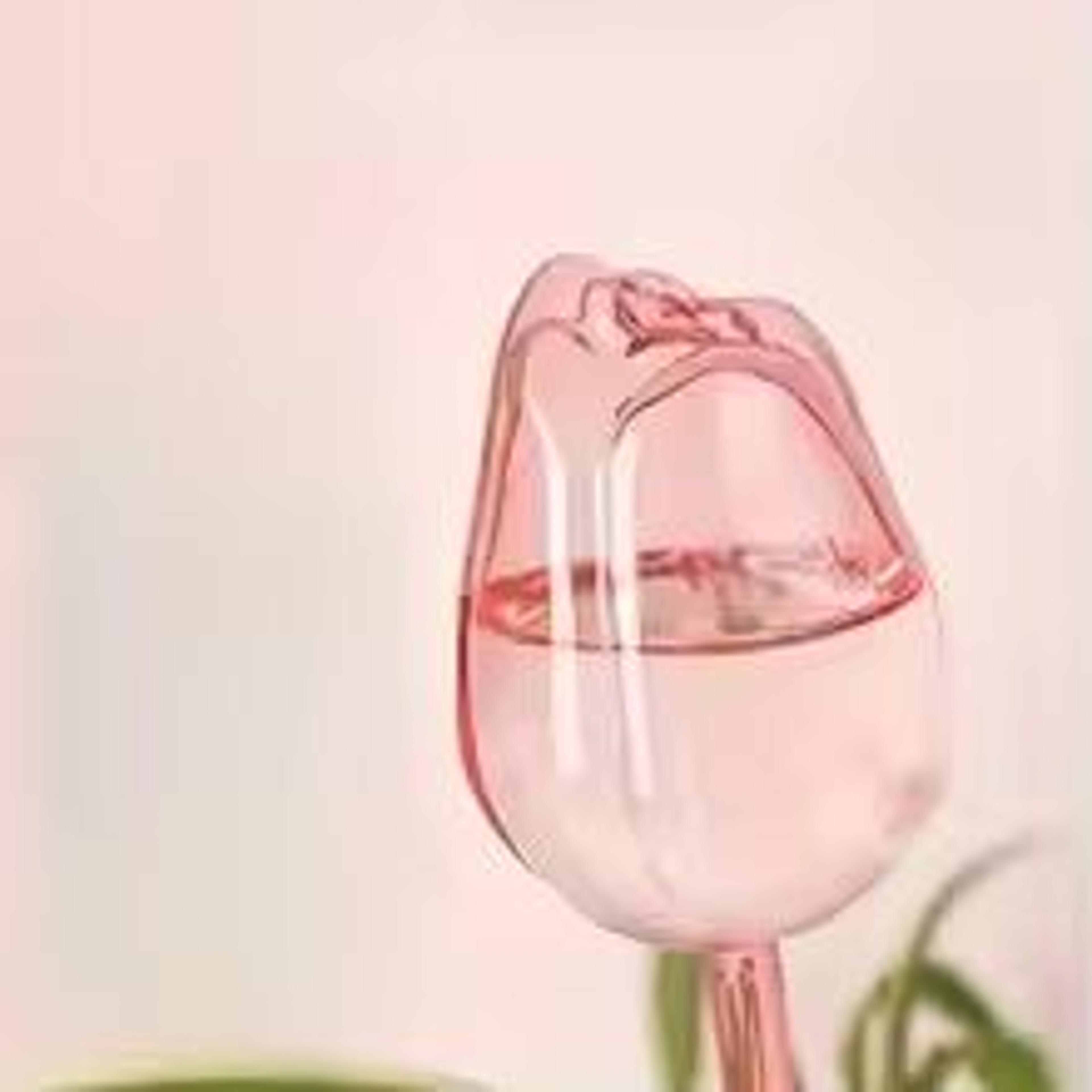 Pink Tulip Automatic Plant Watering Balls For Indoor And Outdoor Plants 6