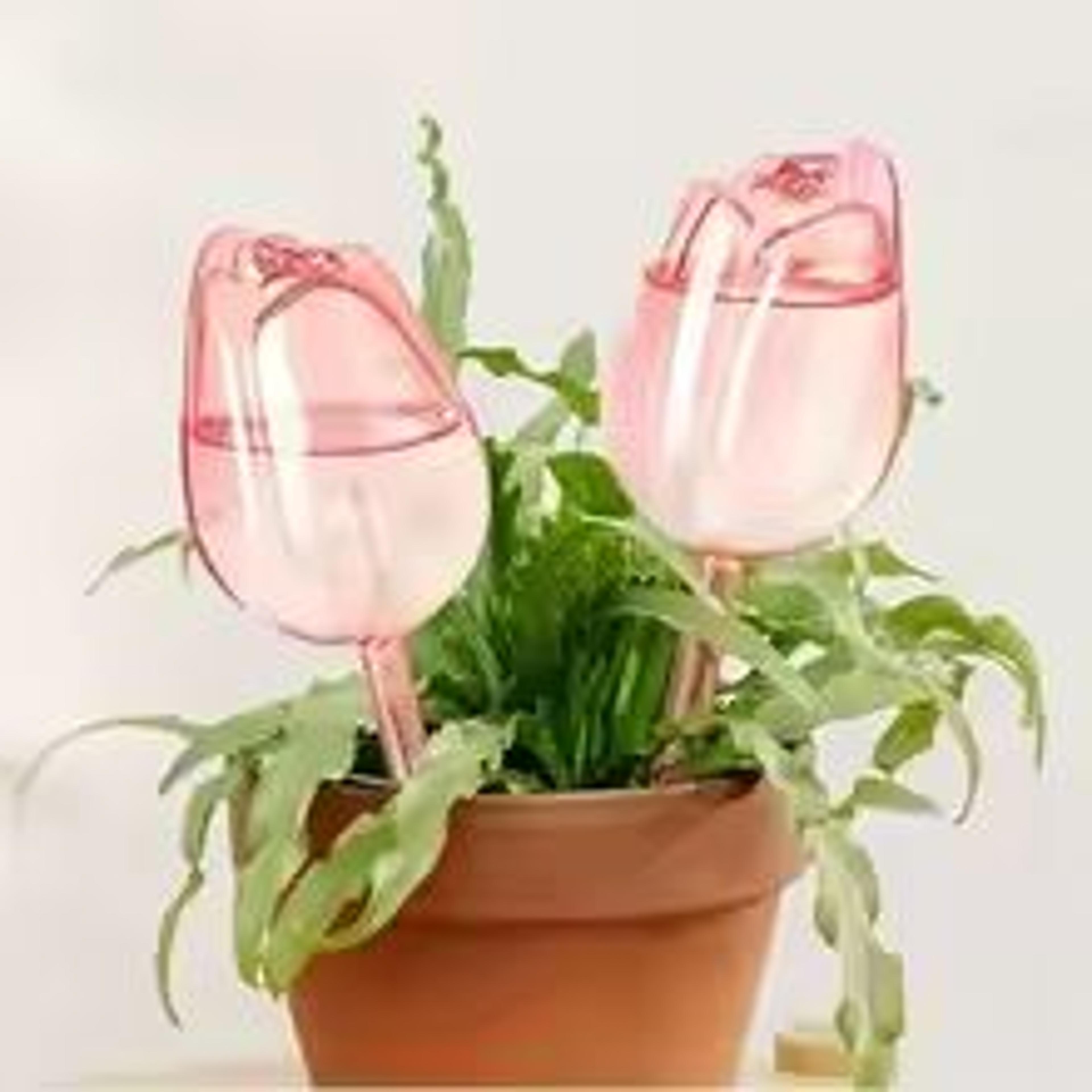 Pink Tulip Automatic Plant Watering Balls For Indoor And Outdoor Plants 7