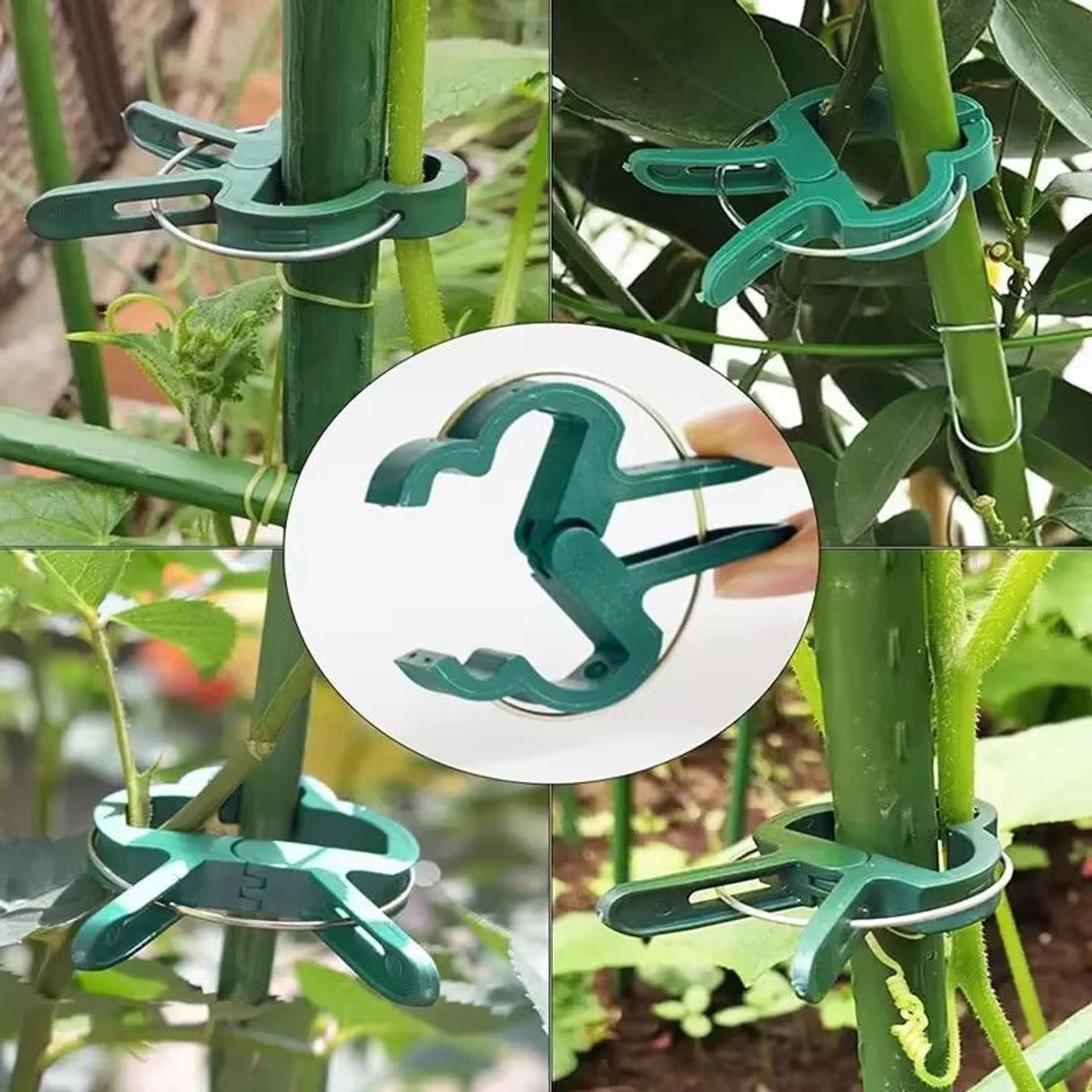 Reusable Plant Support Clips For Vines And Tomatoes Greenhouse Bracket Garden Trellis Clips 3