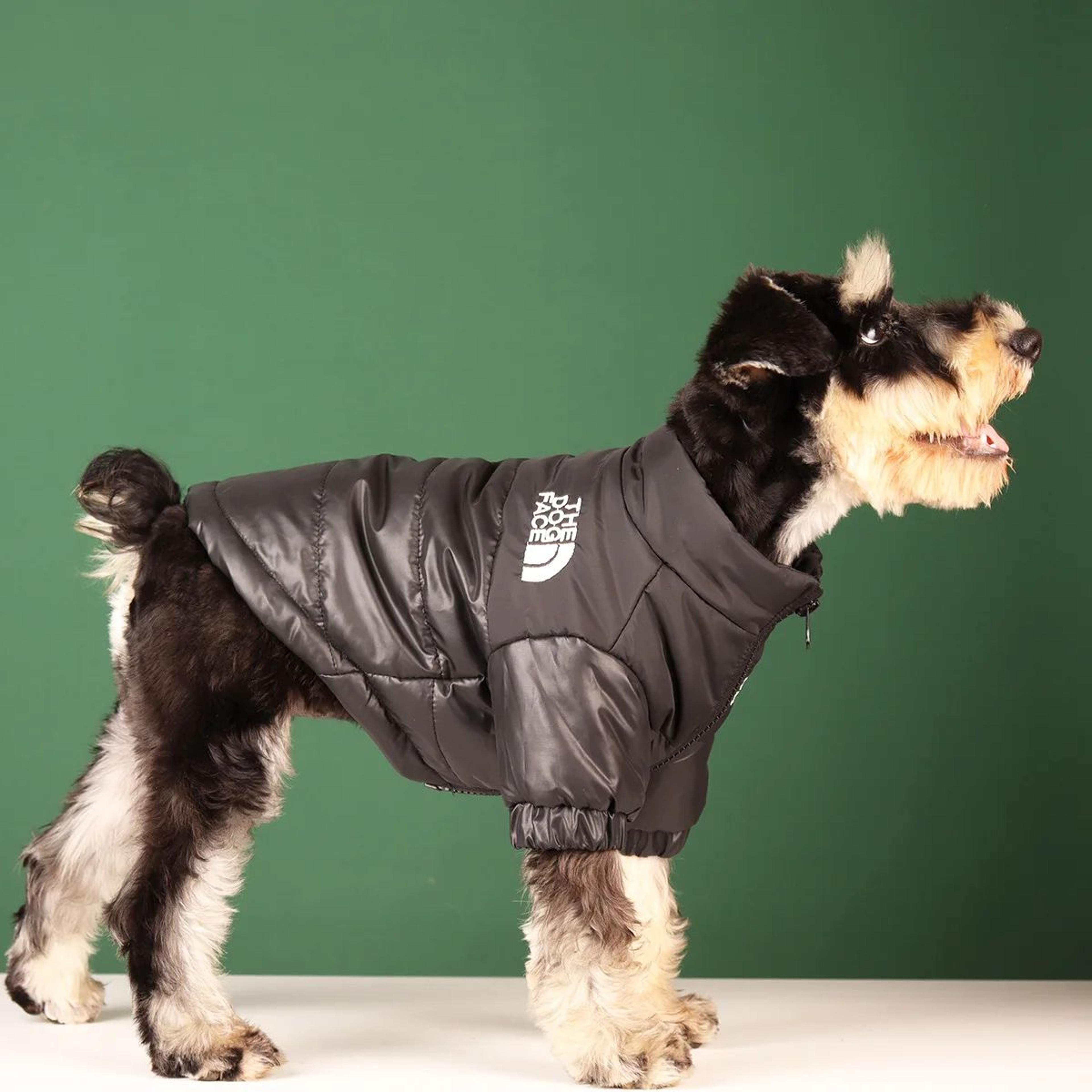 FrostGuard Windproof Dog Jacket For Small To Medium Breeds 4