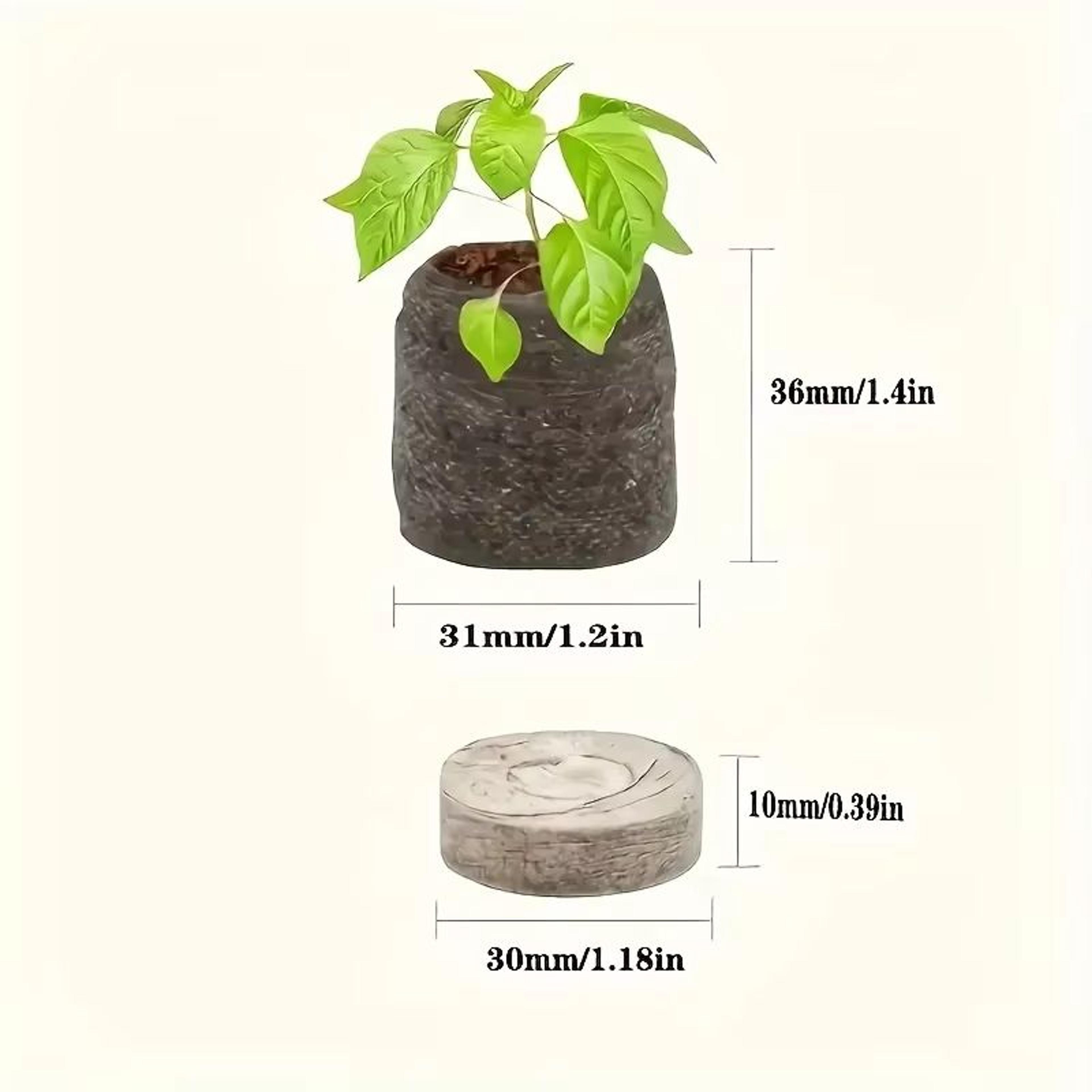 Organic Coco Coir Seed Starter Blocks  Compressed Coconut Coir Soil Pods For Vegetable Flower  Herb 5