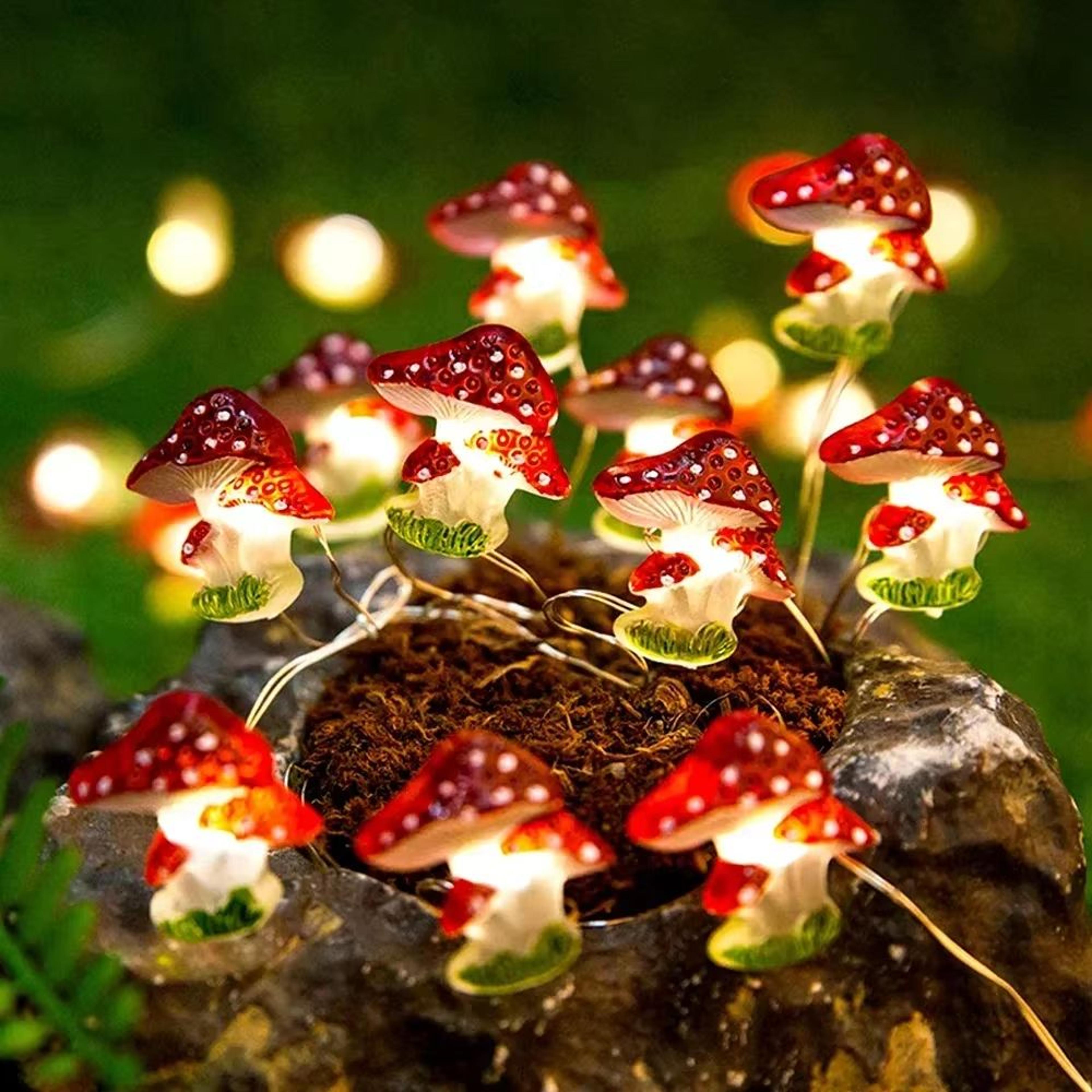 Mushroom LED Fairy String Lights Battery Powered Copper Wire Decor 0